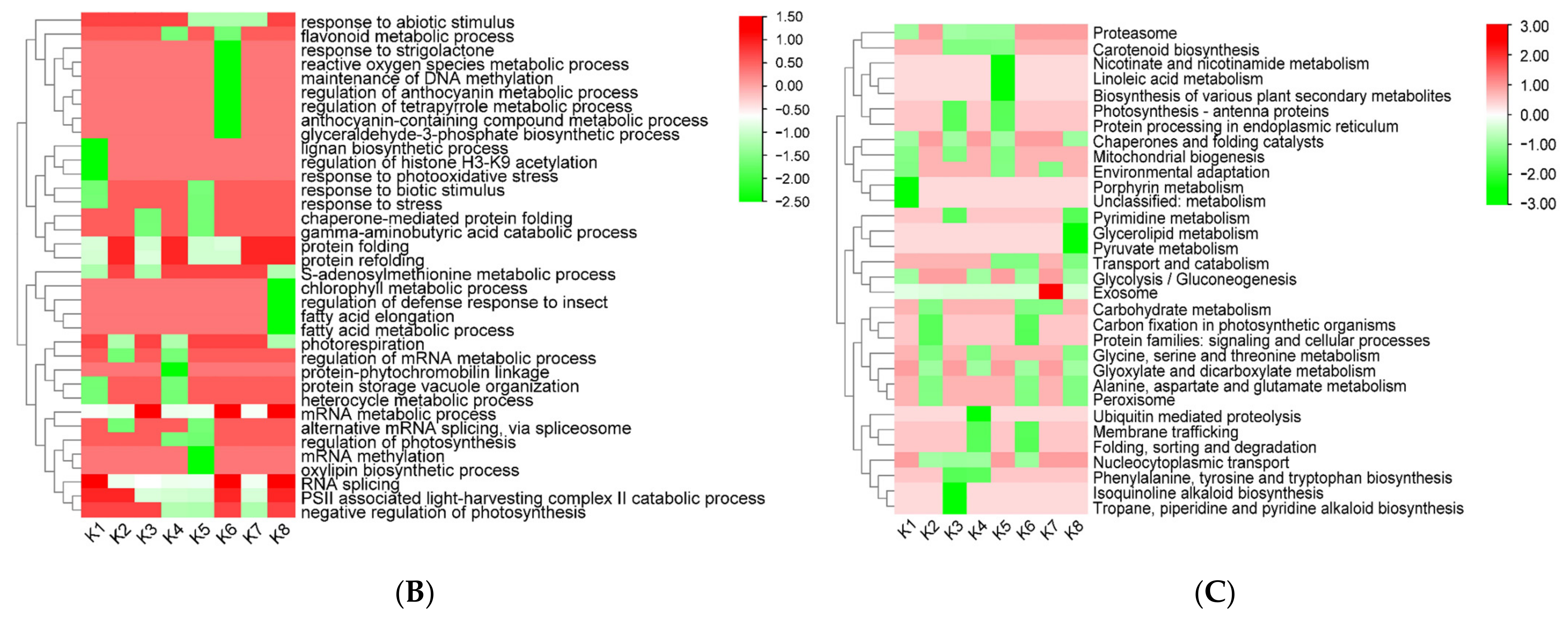 Agronomy 13 01763 g007b