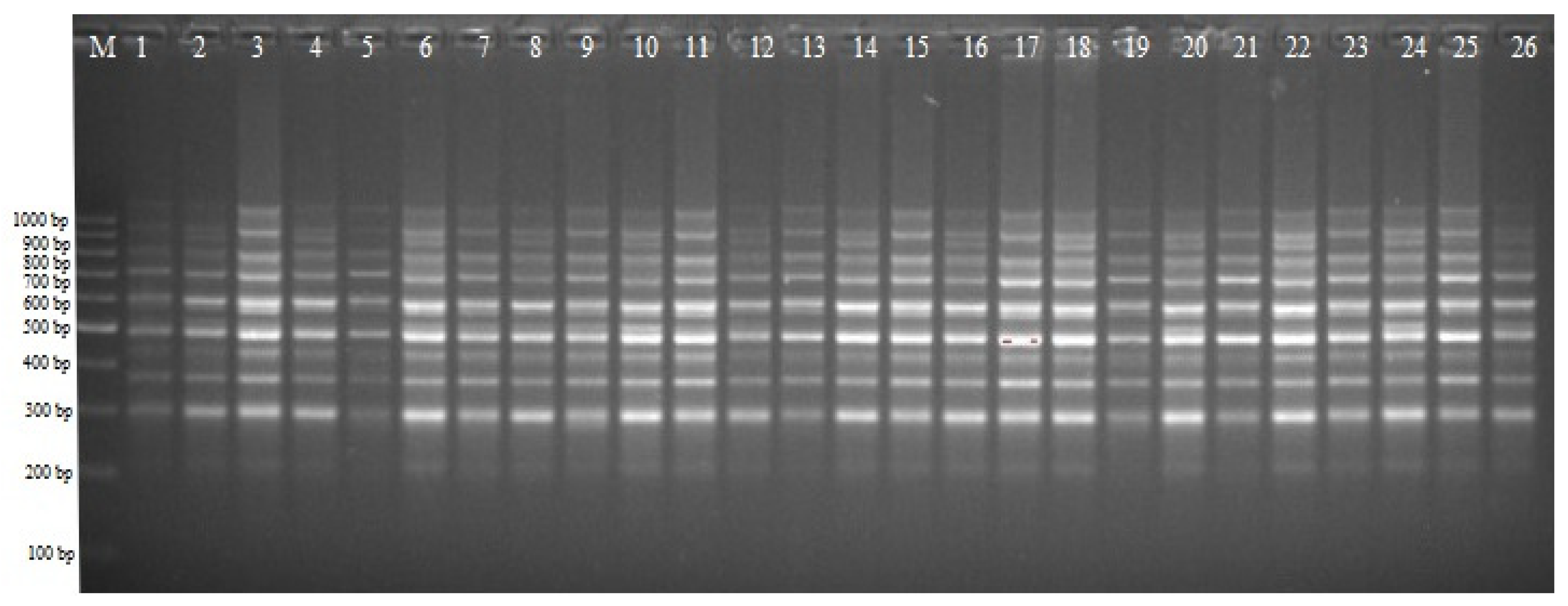 Agronomy 13 01767 g003 Agronomy 13 01767 g003