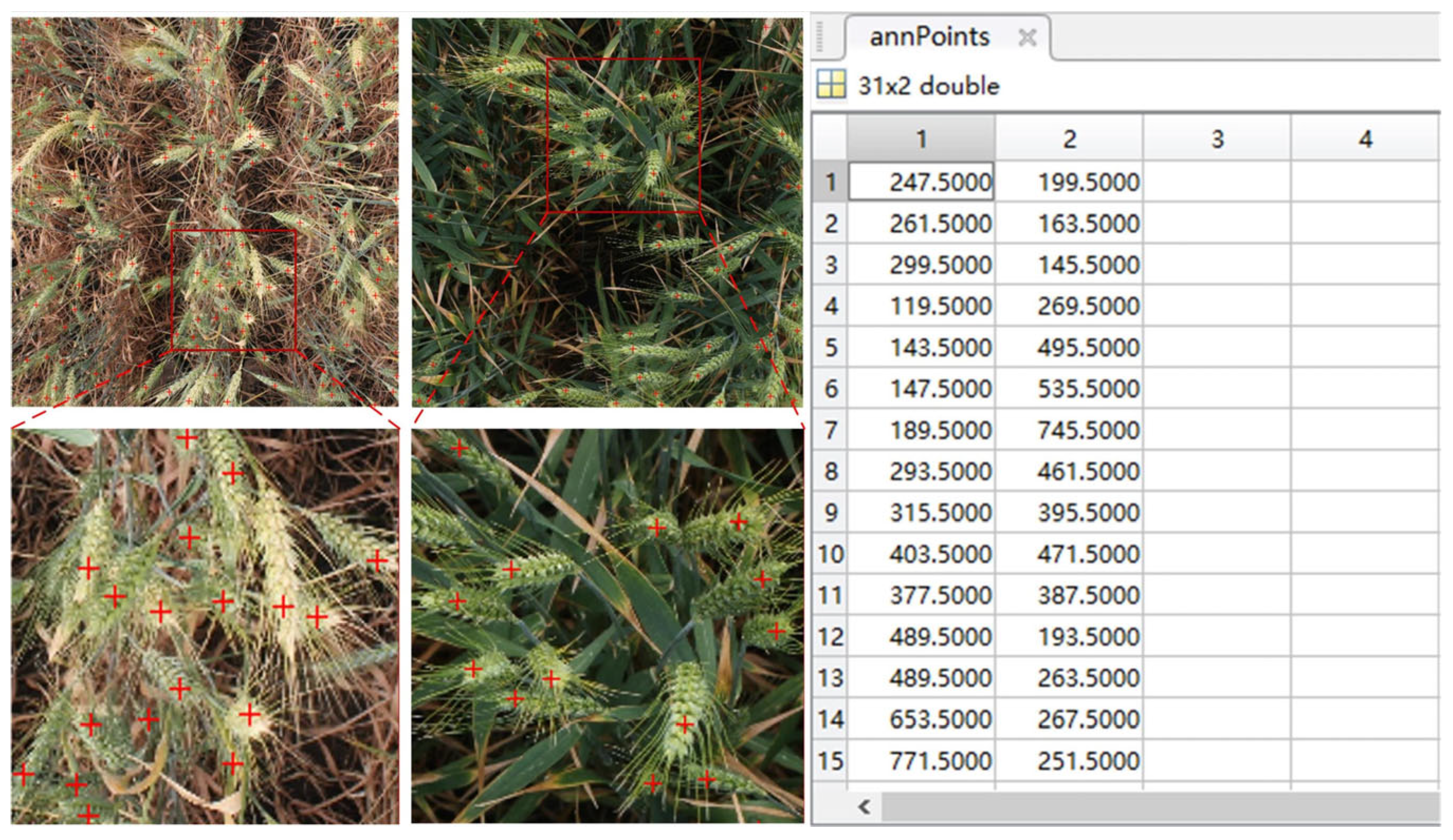 Agronomy 13 01792 g002 Agronomy 13 01792 g002