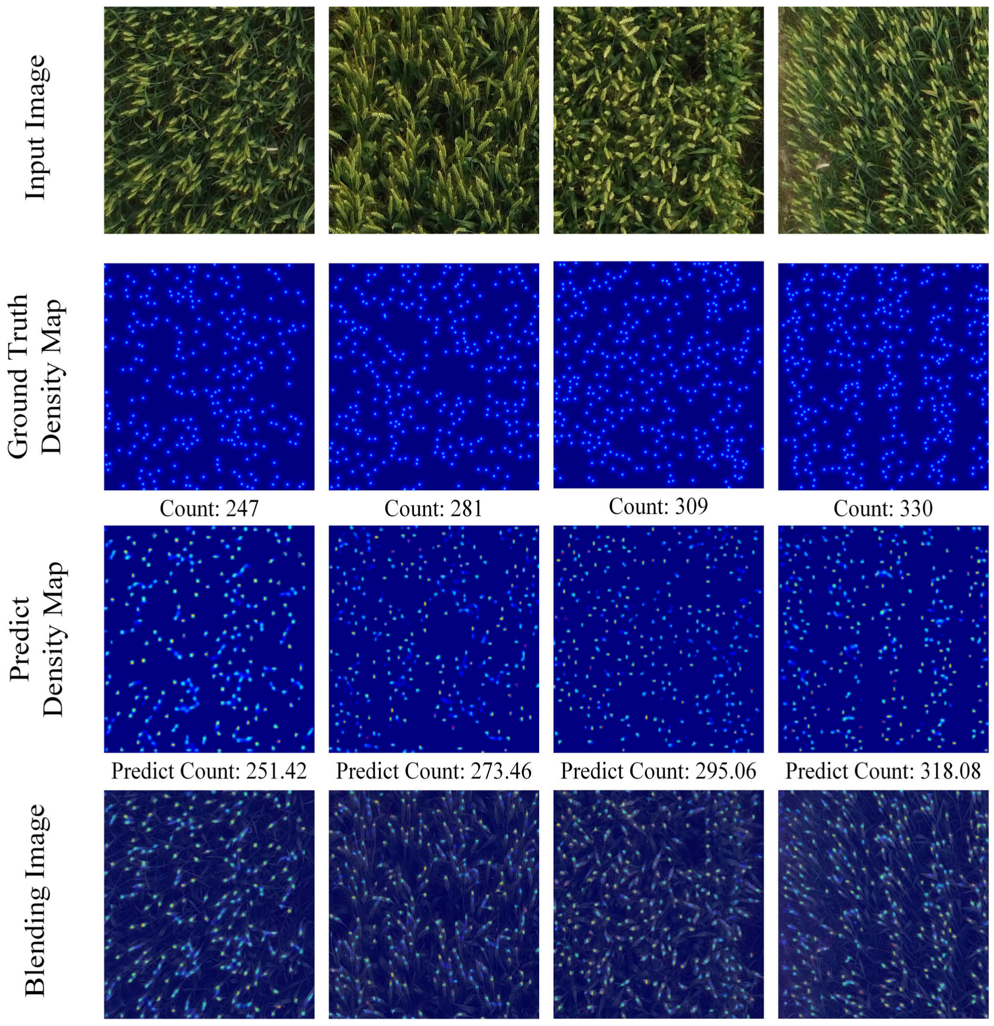 Agronomy 13 01792 g008 Agronomy 13 01792 g008