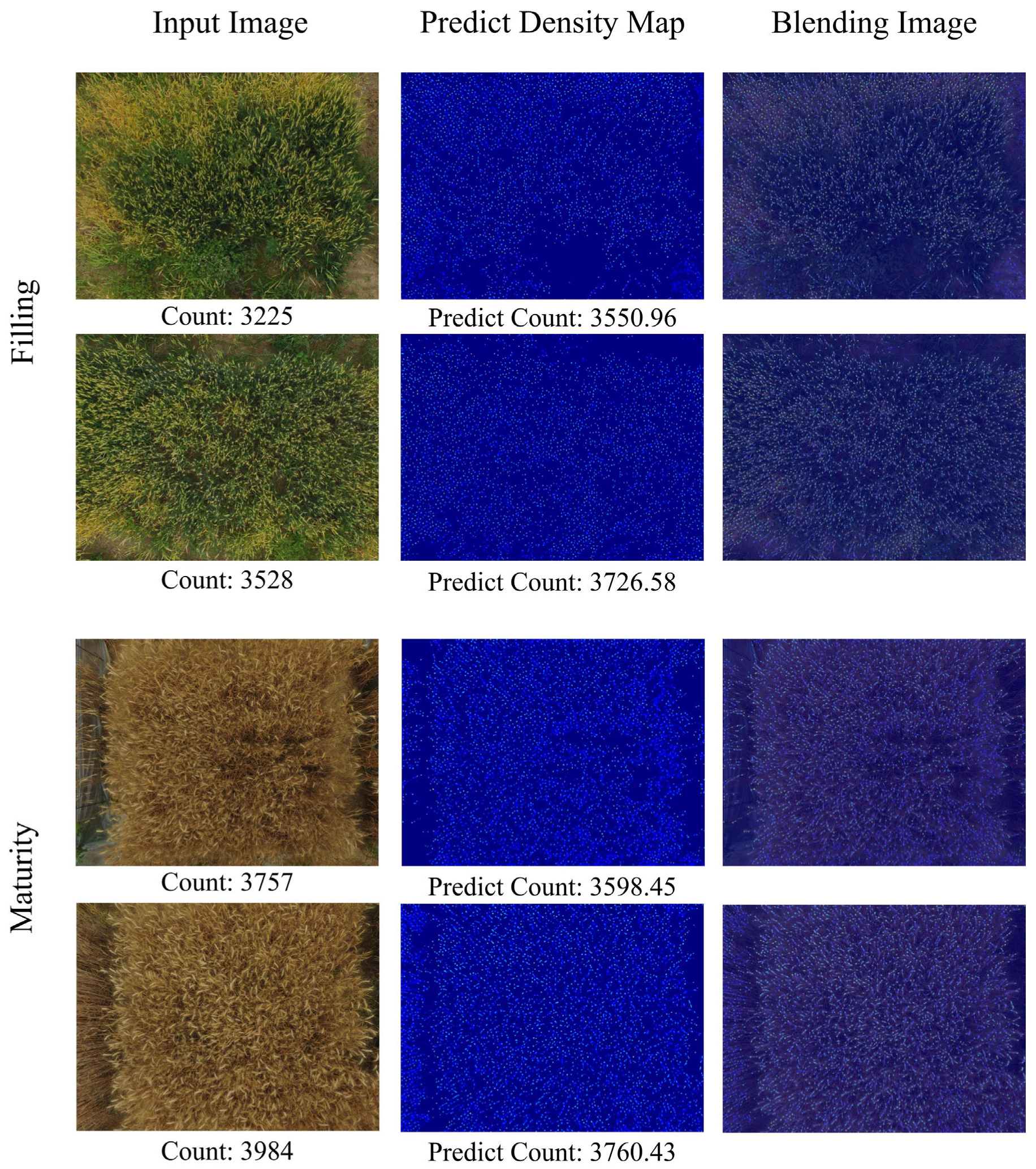 Agronomy 13 01792 g010 Agronomy 13 01792 g010