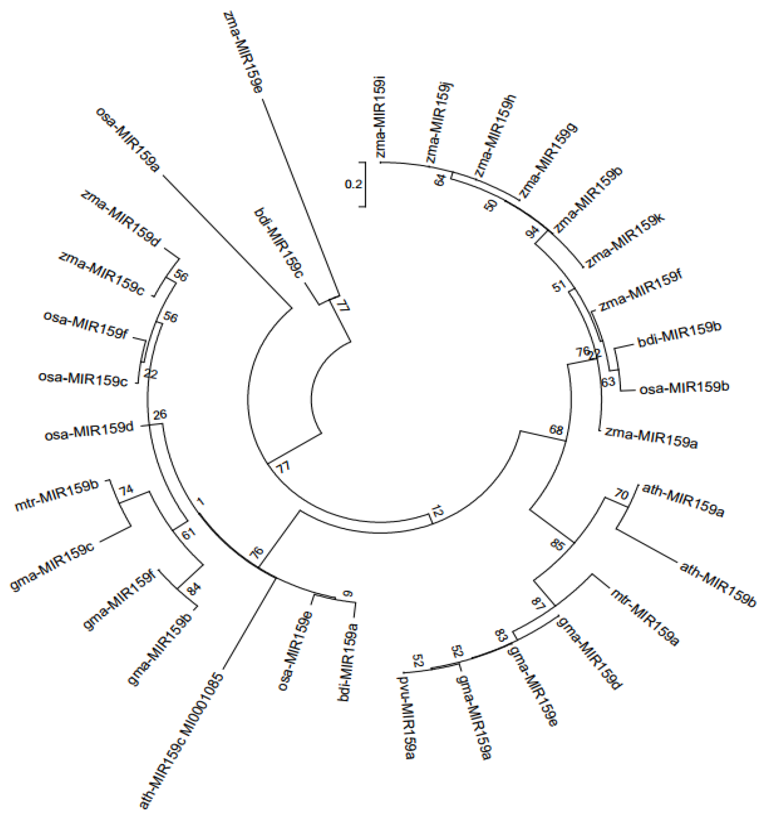 Agronomy 13 01798 g001