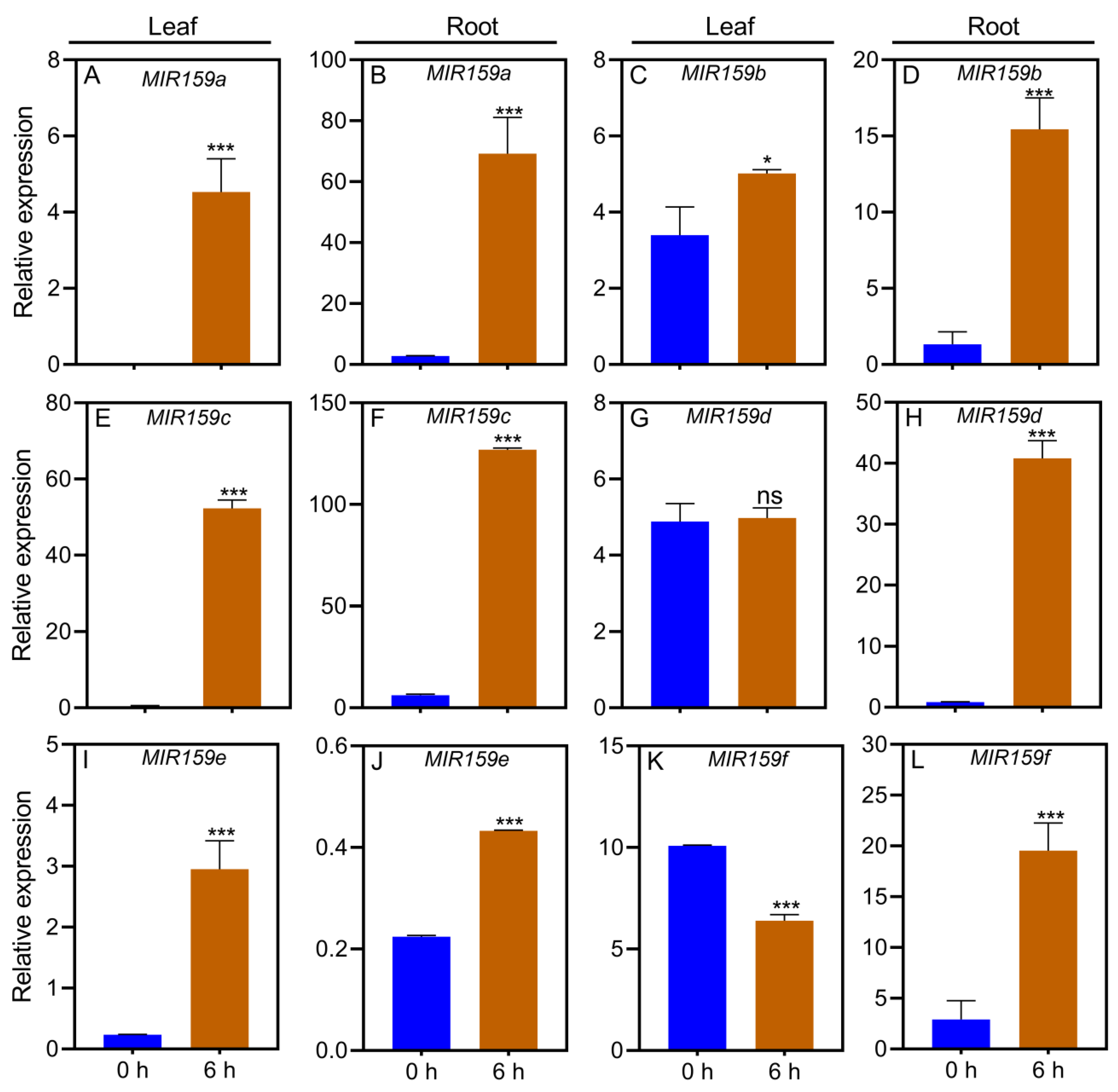 Agronomy 13 01798 g004