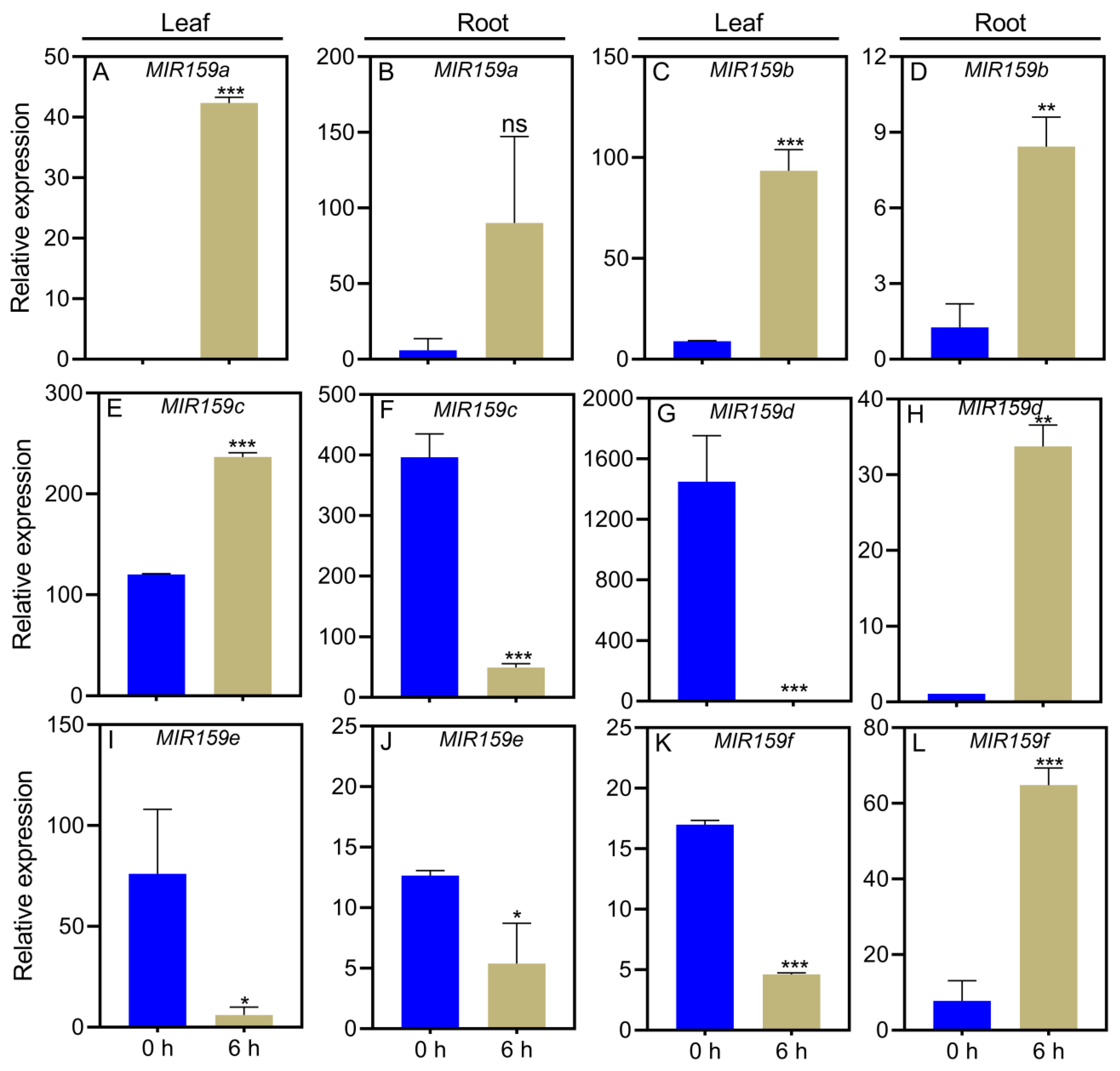 Agronomy 13 01798 g005