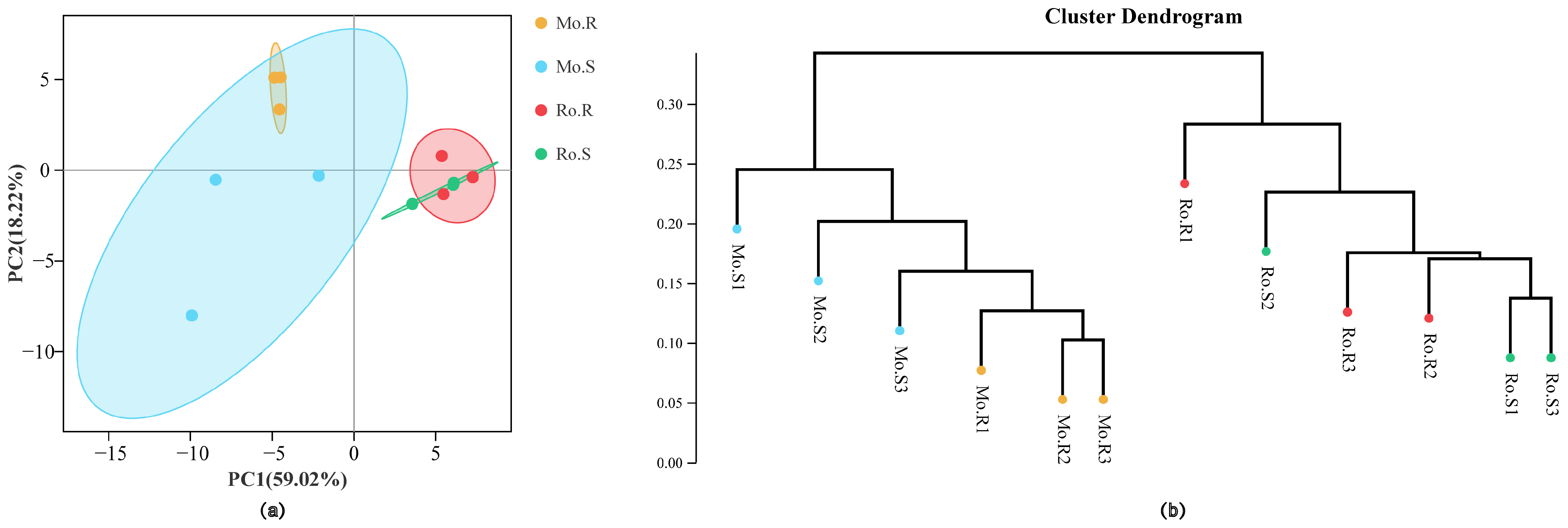Agronomy 13 01803 g004
