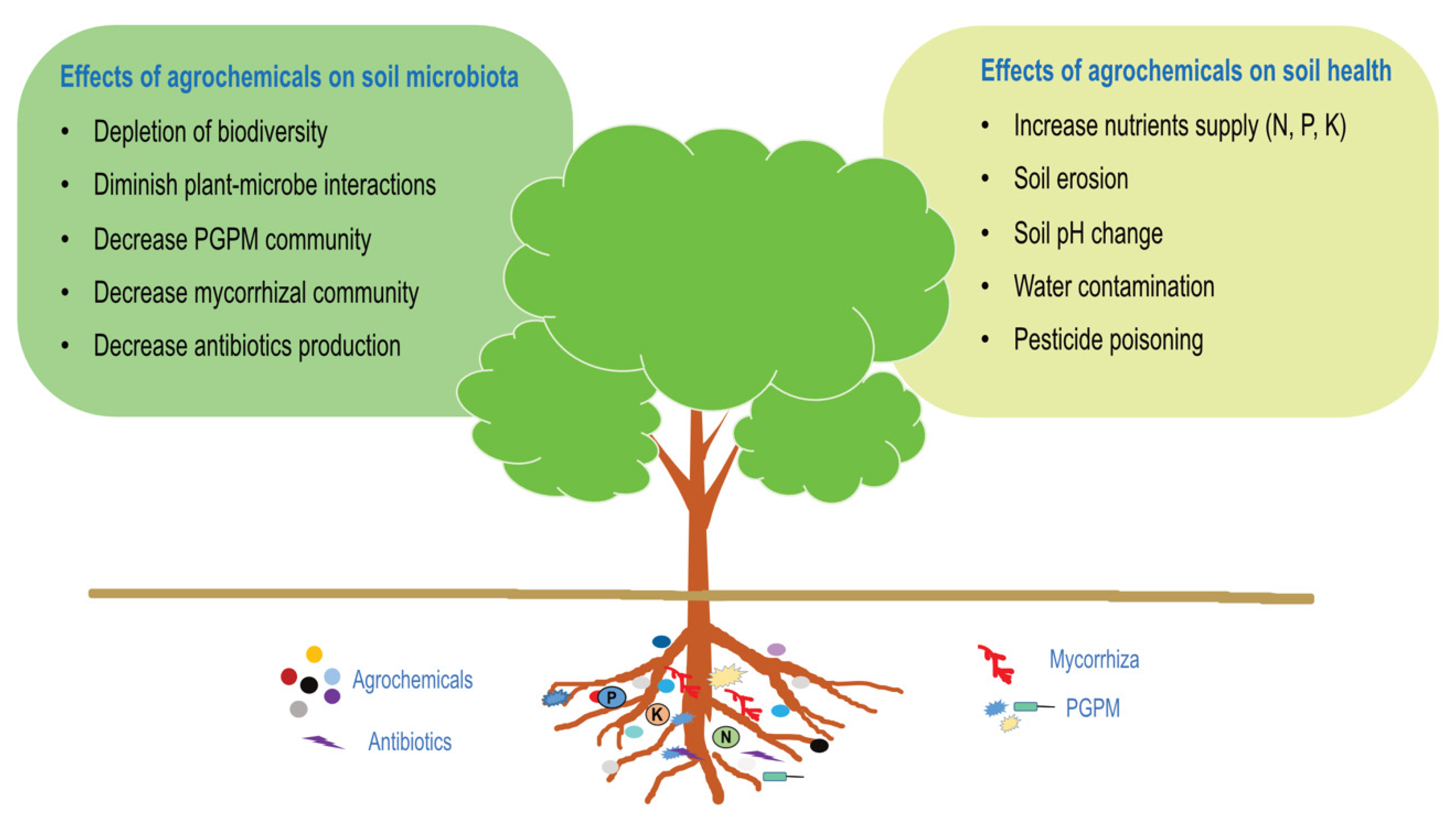 Agronomy 13 01804 g001