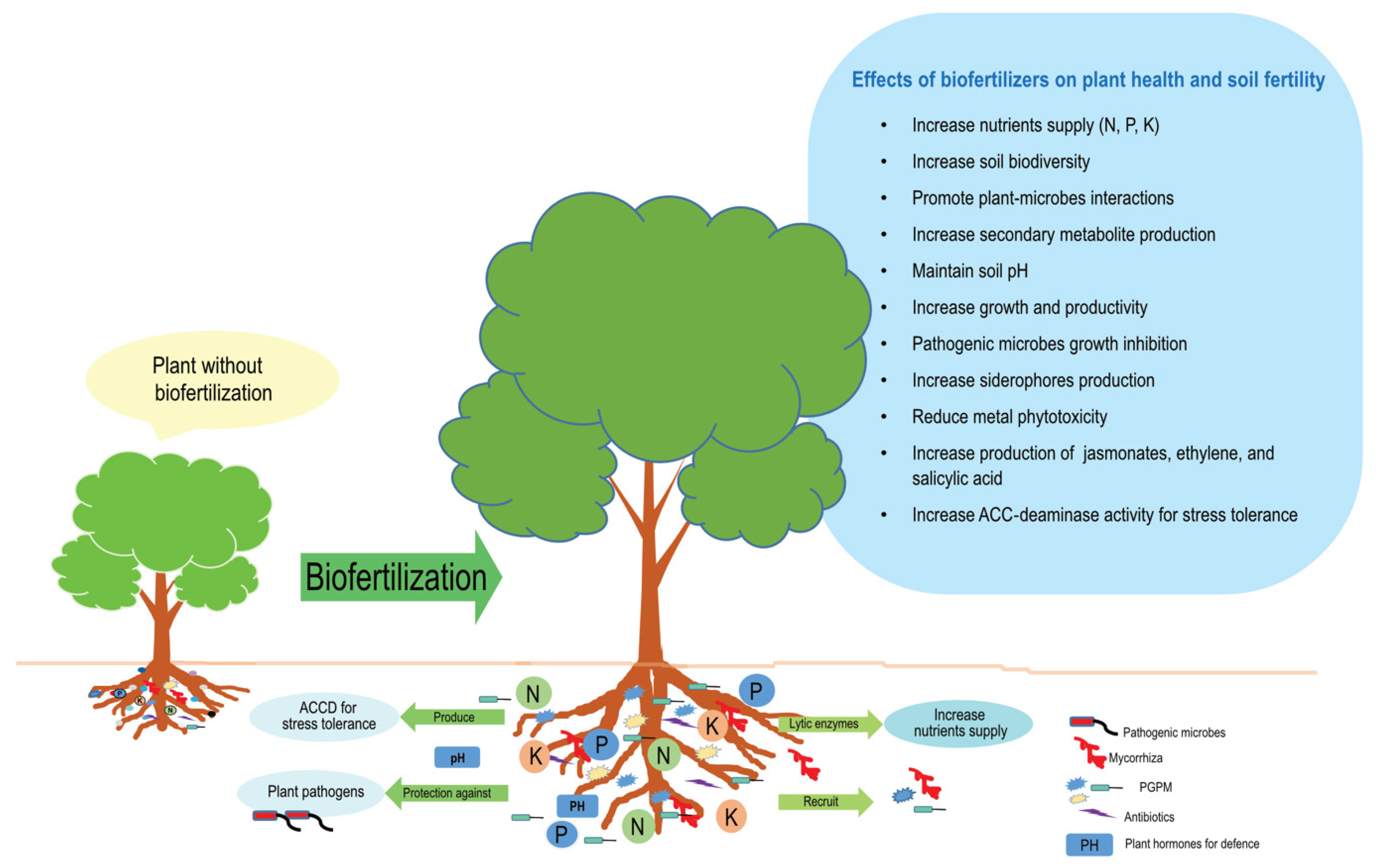Agronomy 13 01804 g002