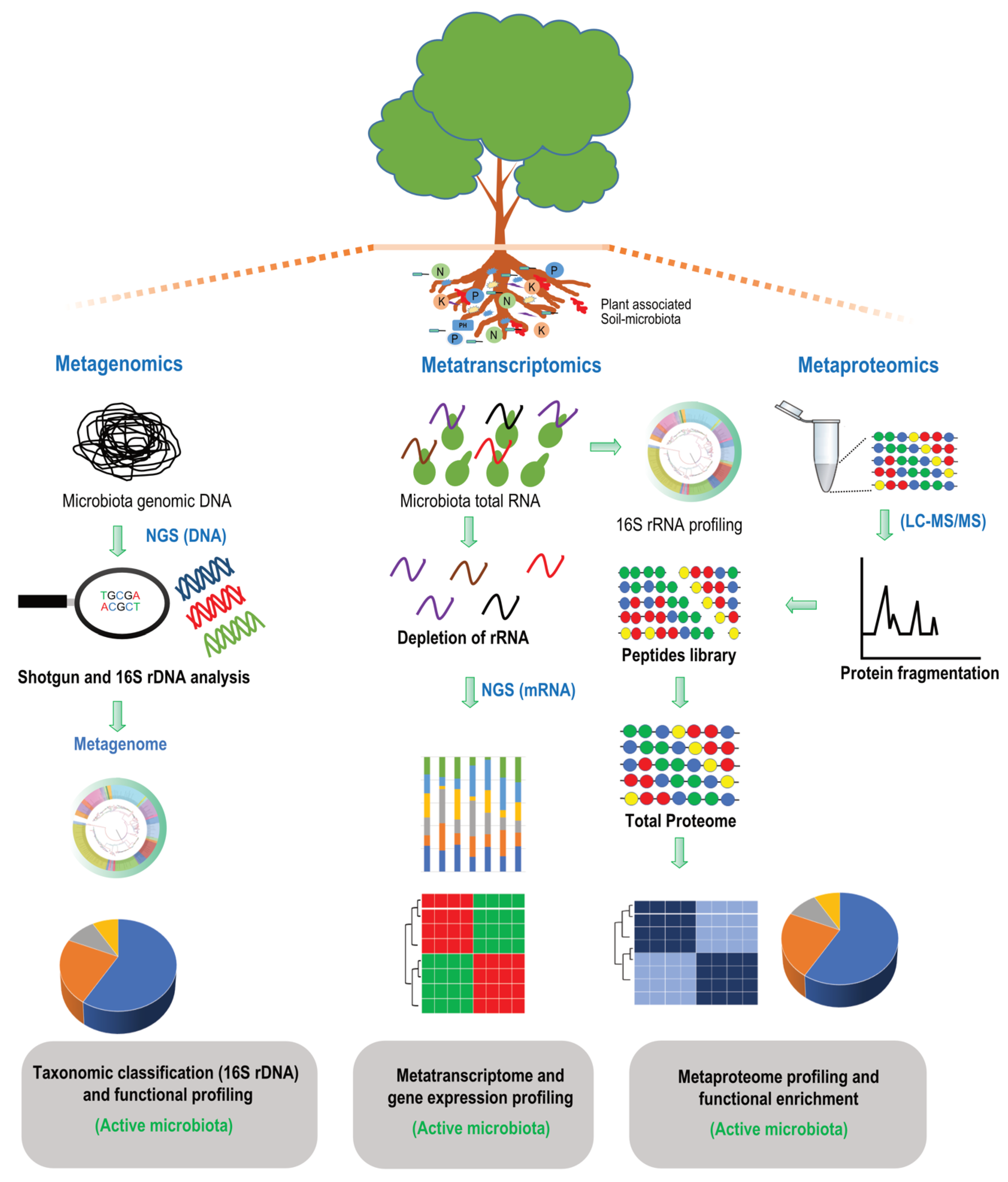 Agronomy 13 01804 g003