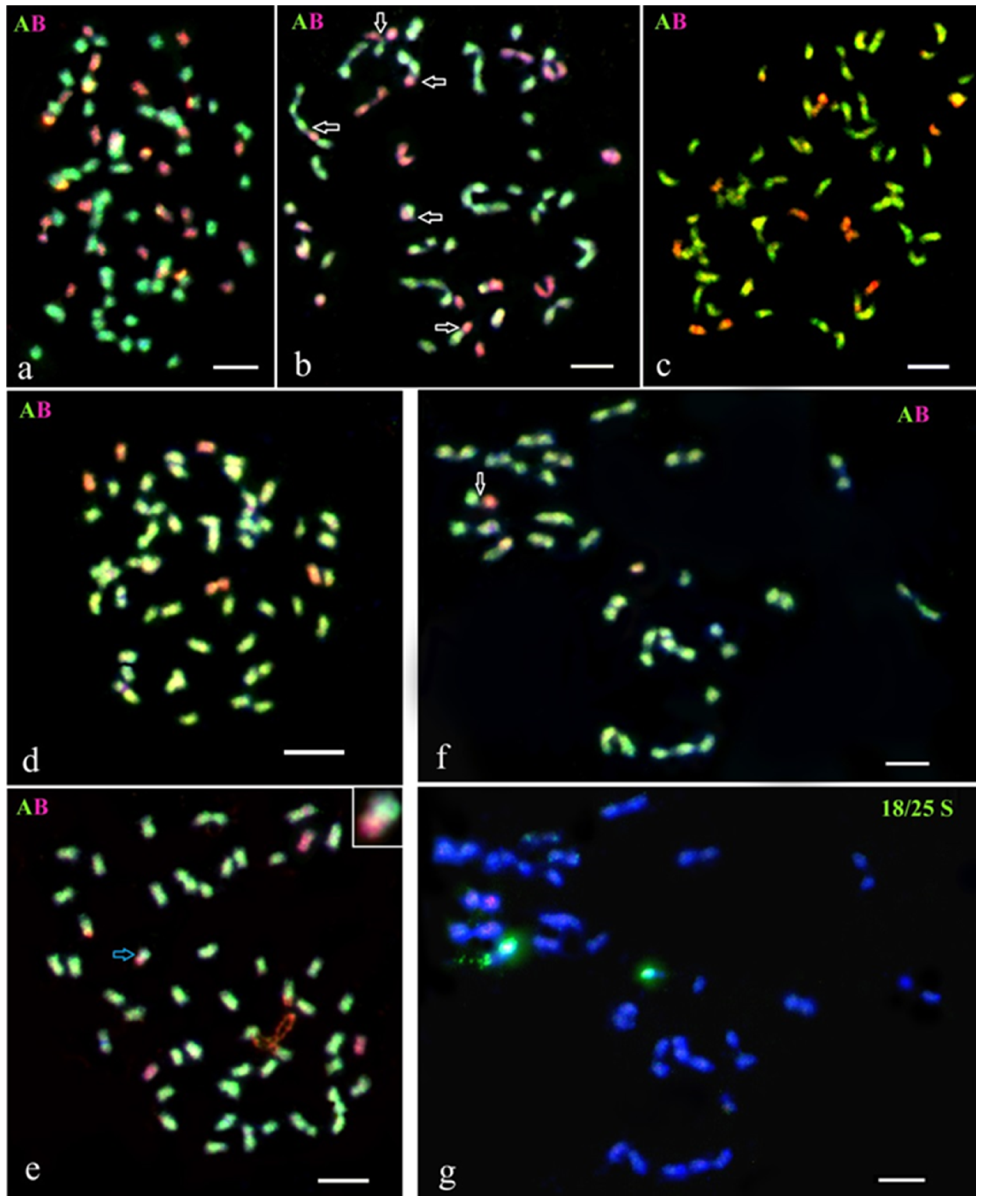 Agronomy 13 01809 g002