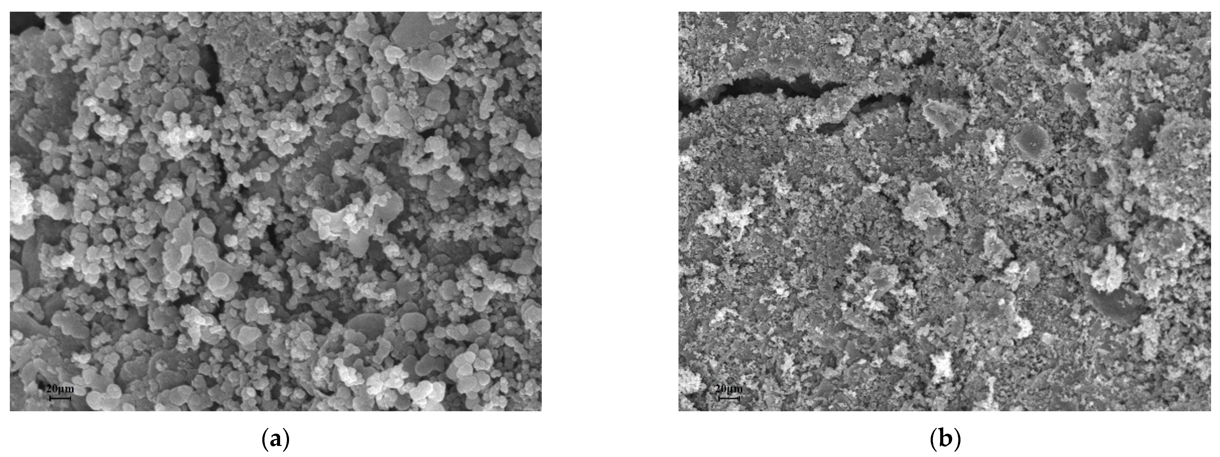 Agronomy 13 01813 g002 Agronomy 13 01813 g002