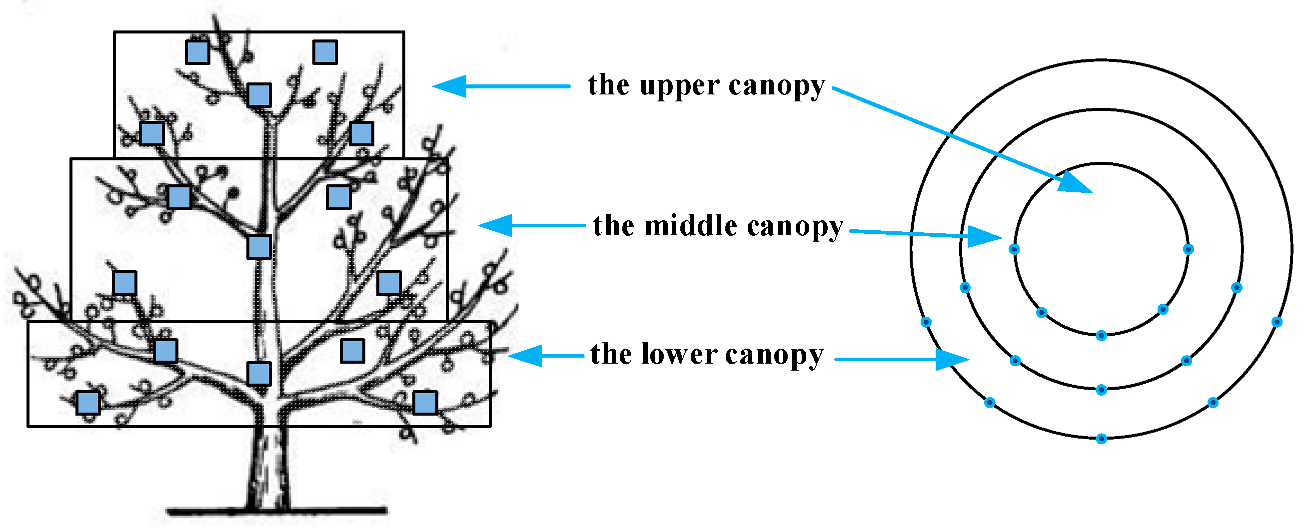 Agronomy 13 01815 g005