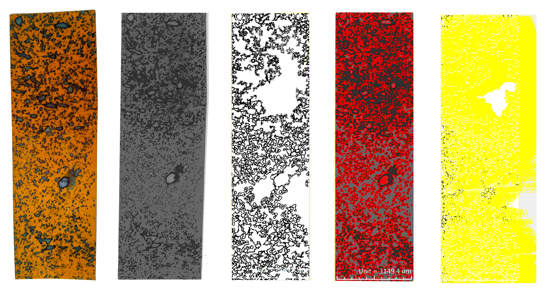 Agronomy 13 01815 g006