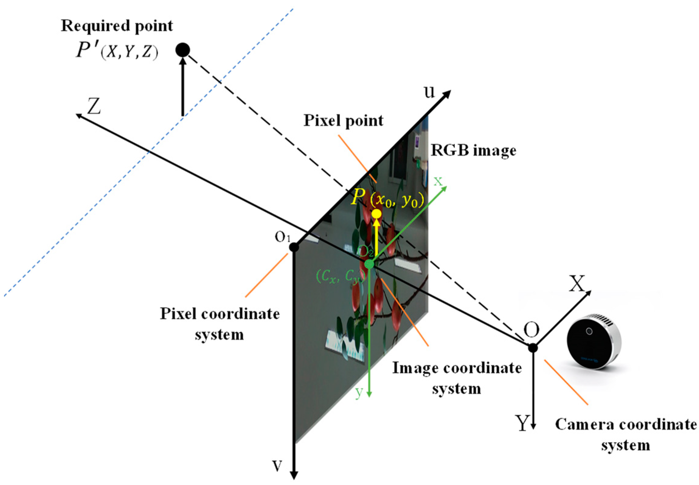 Agronomy 13 01816 g008
