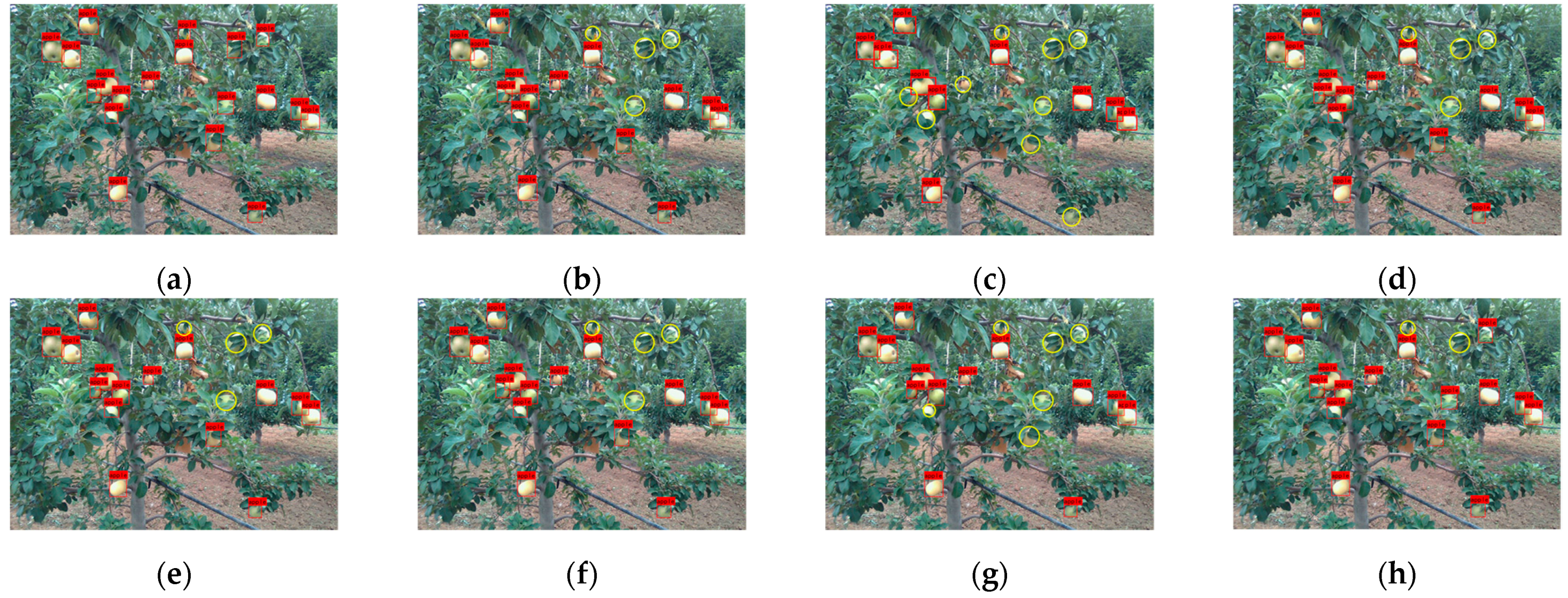 Agronomy 13 01816 g012