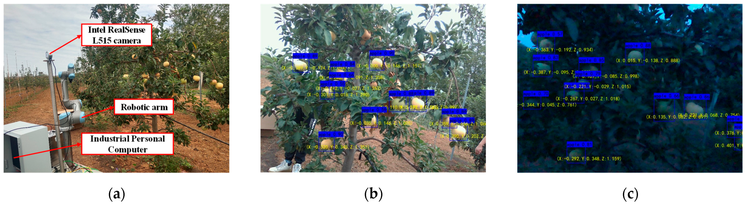 Agronomy 13 01816 g014
