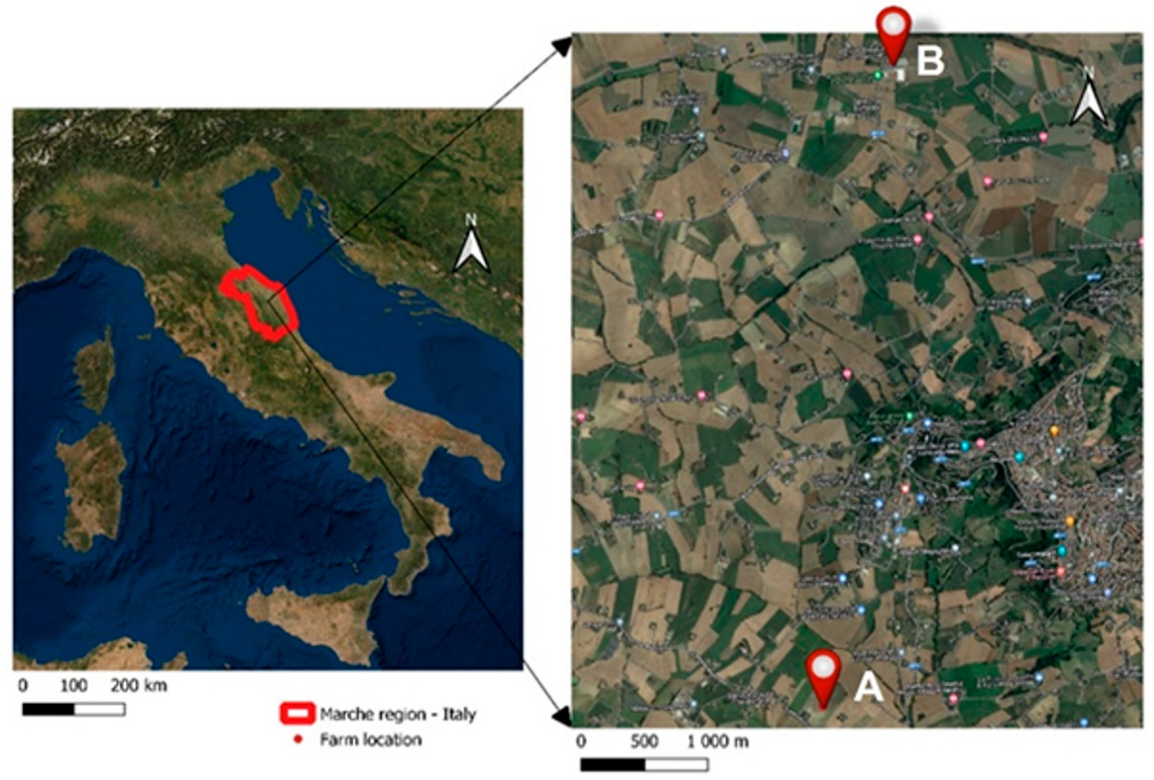 Agronomy 13 01818 g002 Agronomy 13 01818 g002