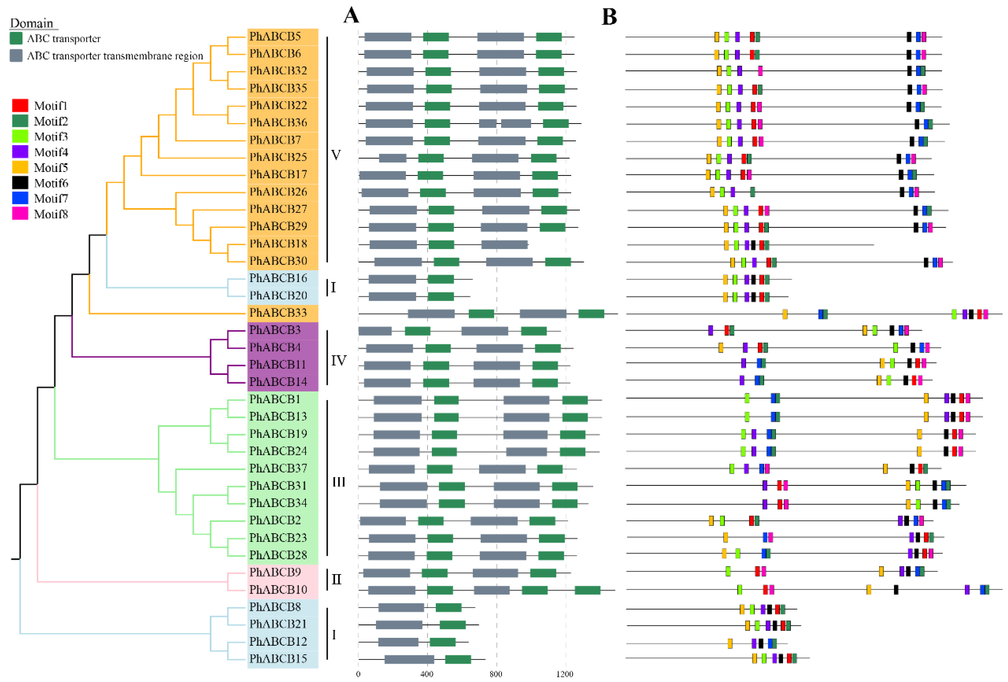 Agronomy 13 01828 g003