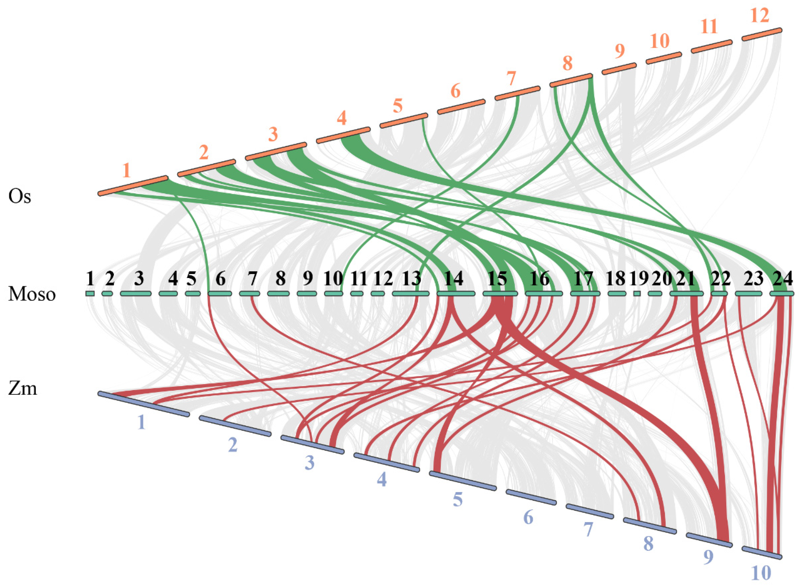 Agronomy 13 01828 g004