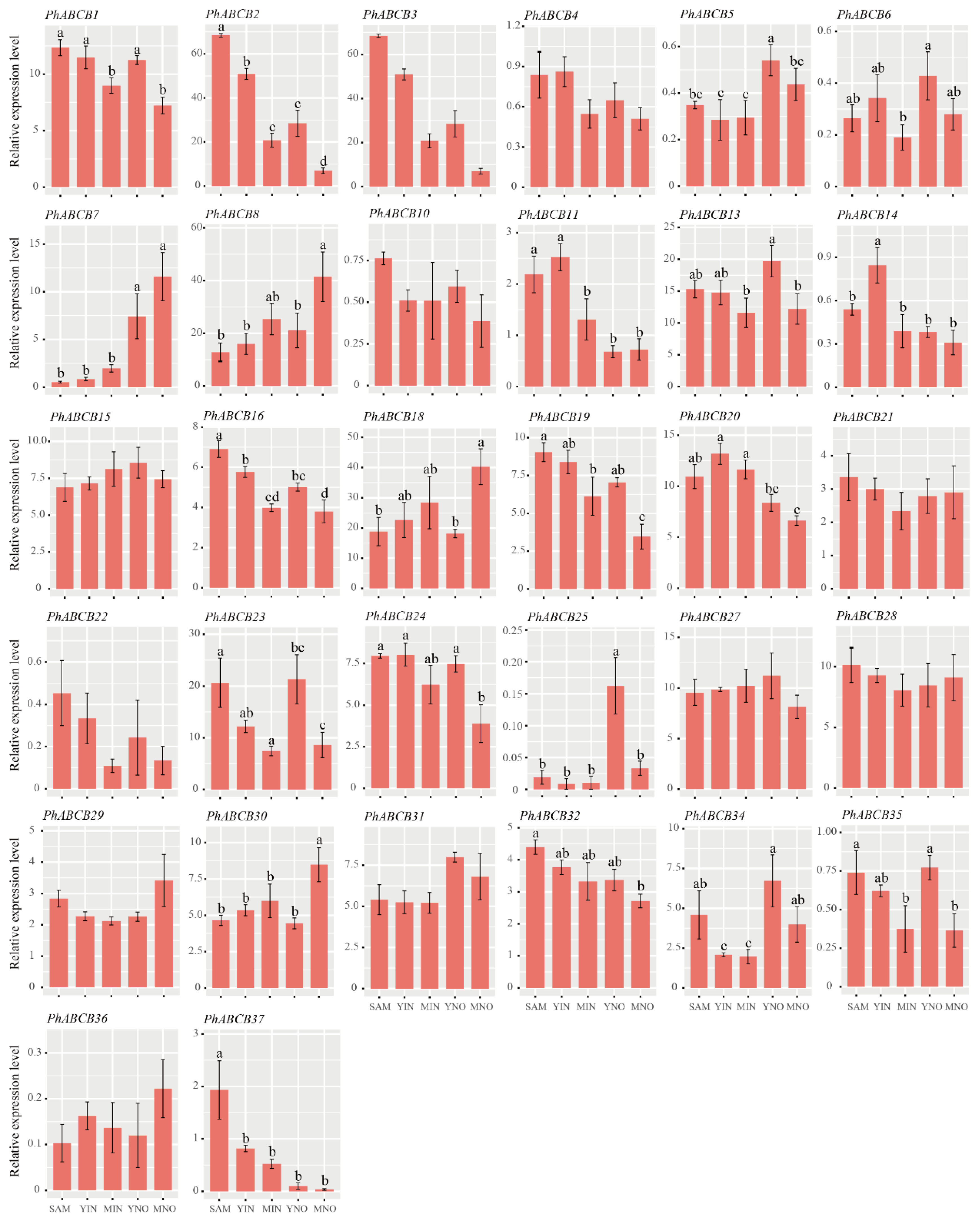 Agronomy 13 01828 g006