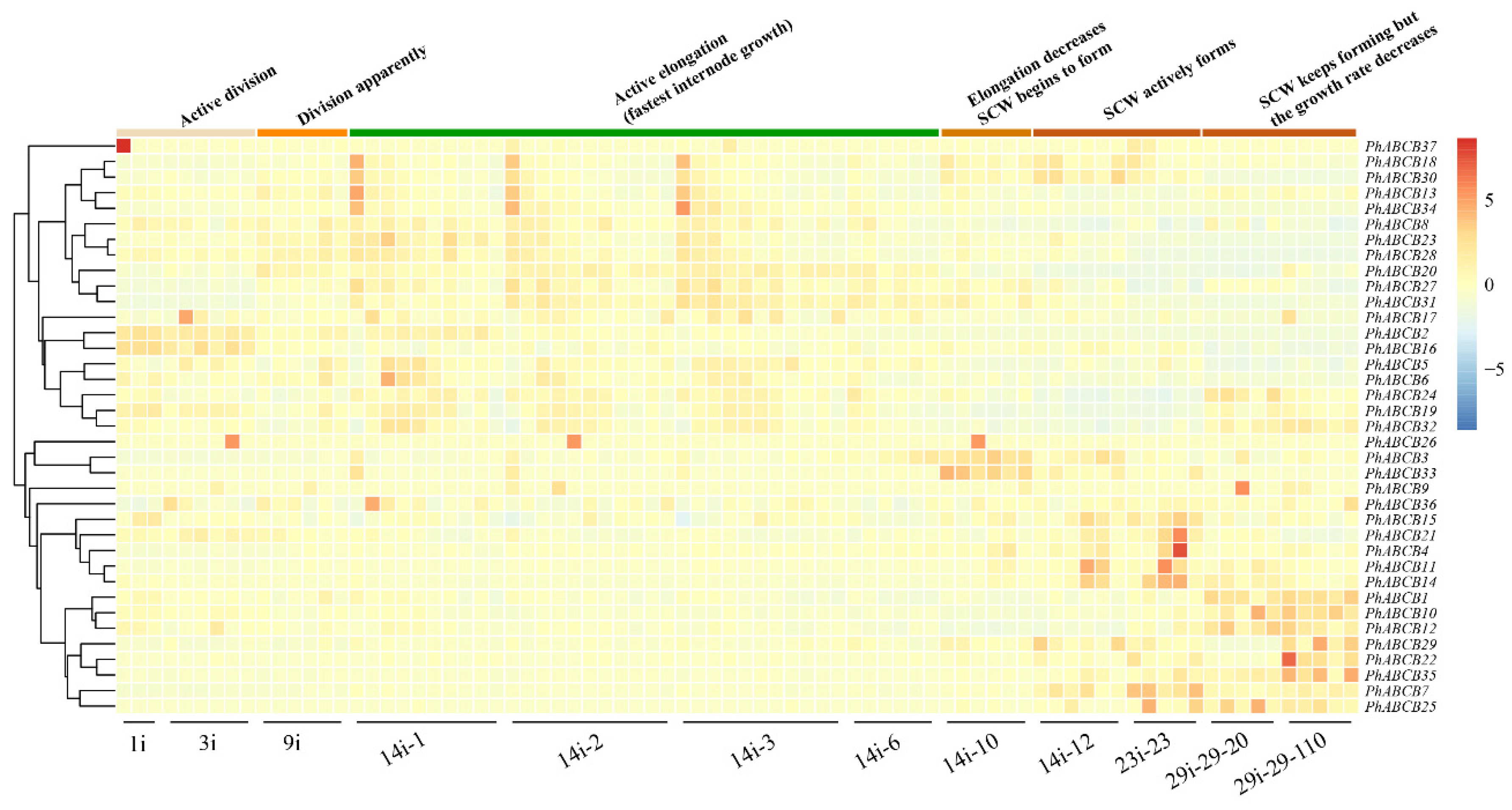 Agronomy 13 01828 g007