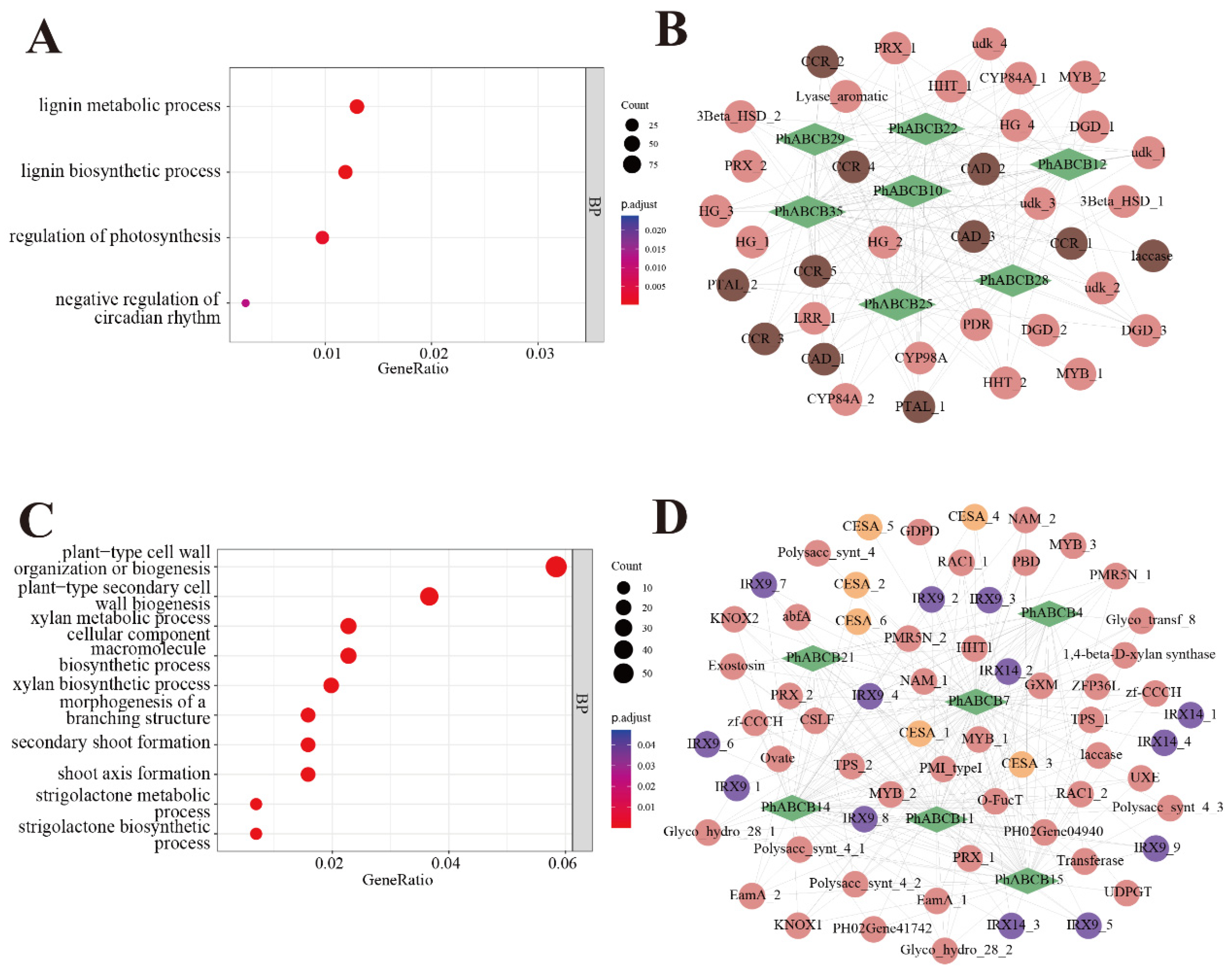 Agronomy 13 01828 g008