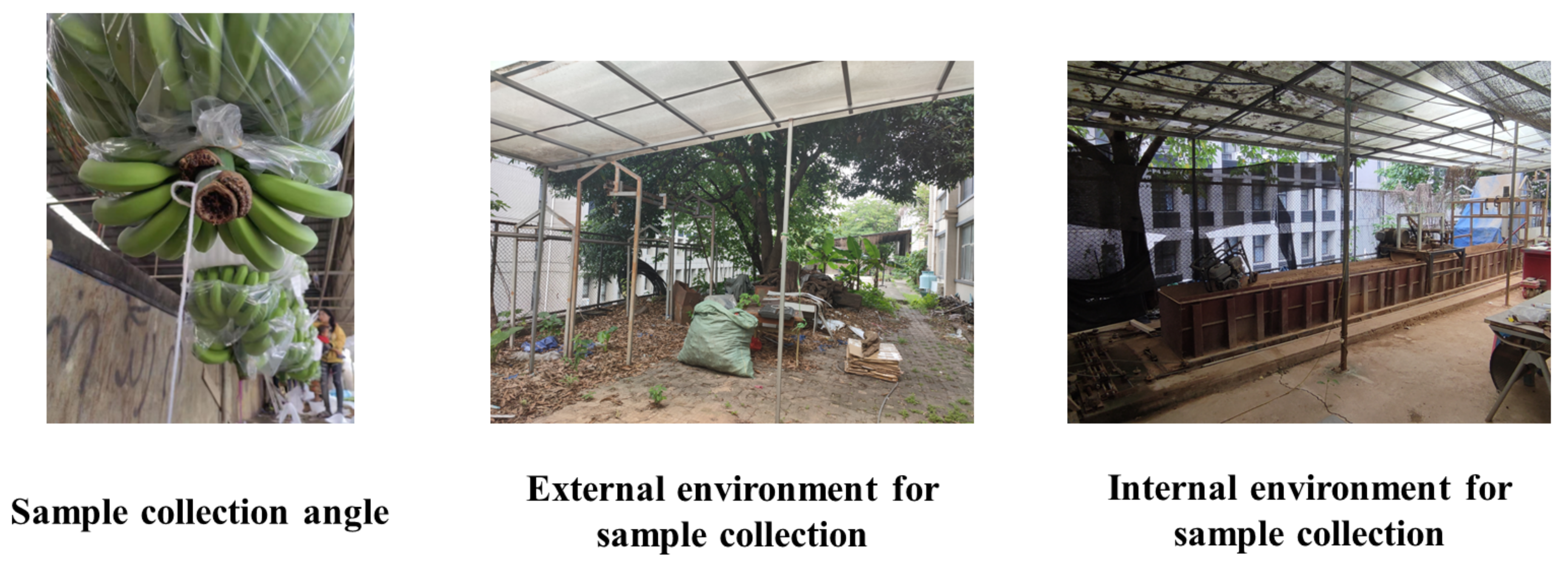 Agronomy 13 01838 g001