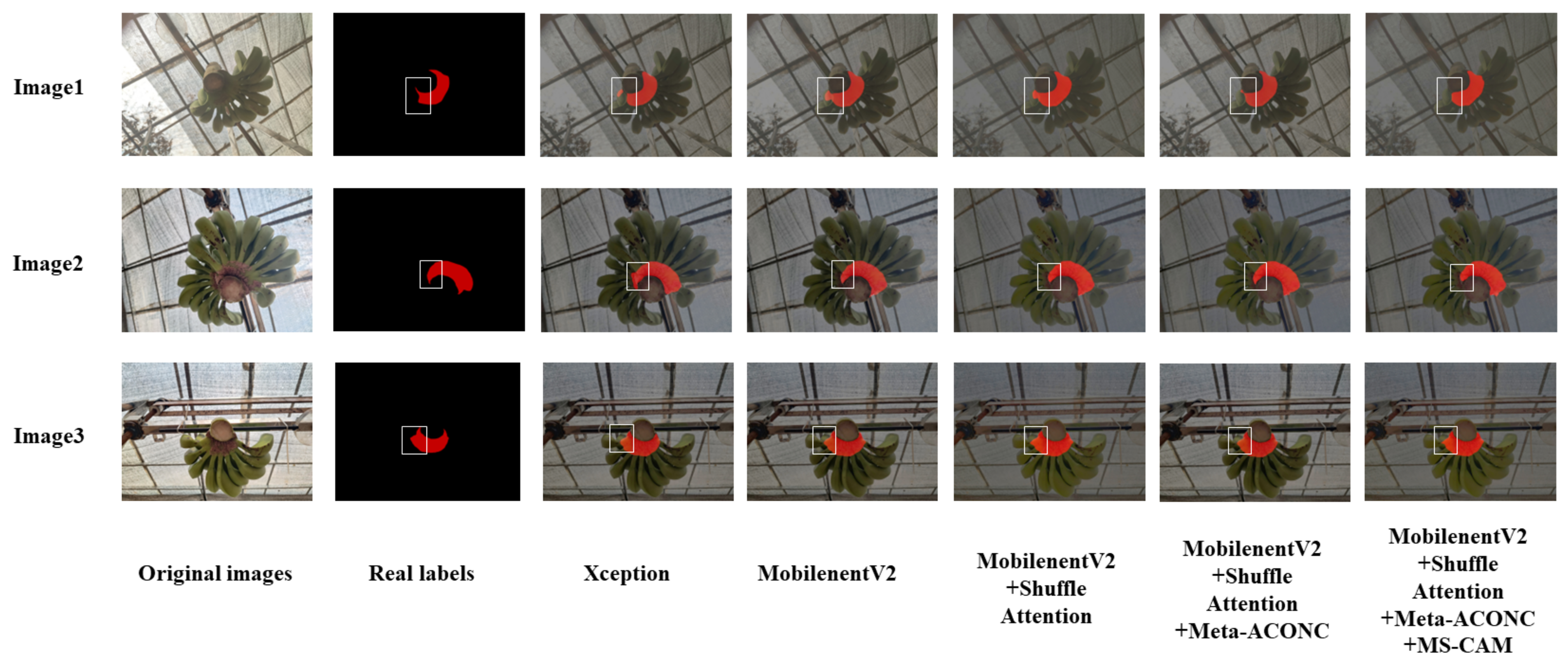 Agronomy 13 01838 g009