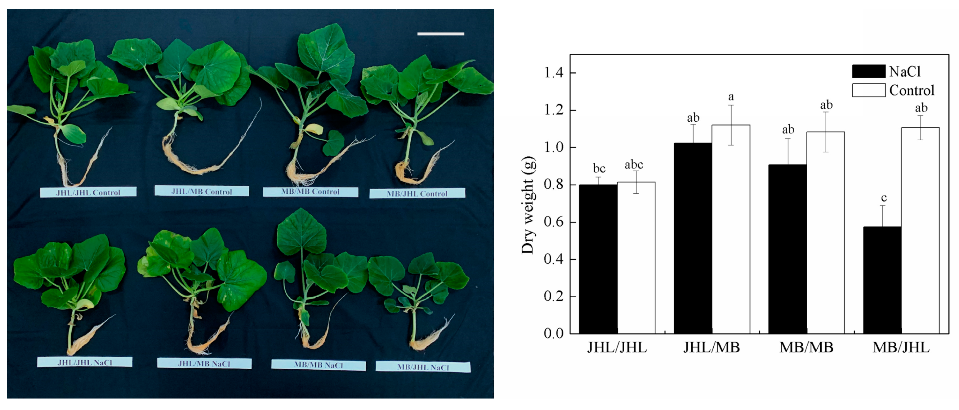 Agronomy 13 01843 g001 Agronomy 13 01843 g001