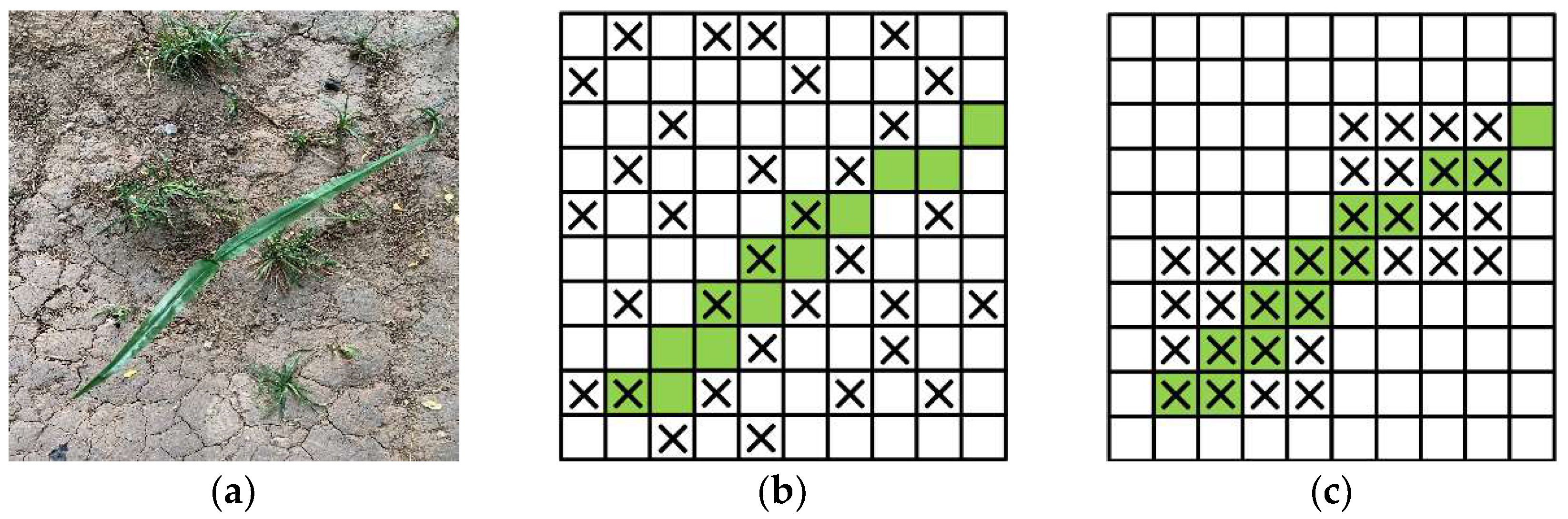 Agronomy 13 01846 g004