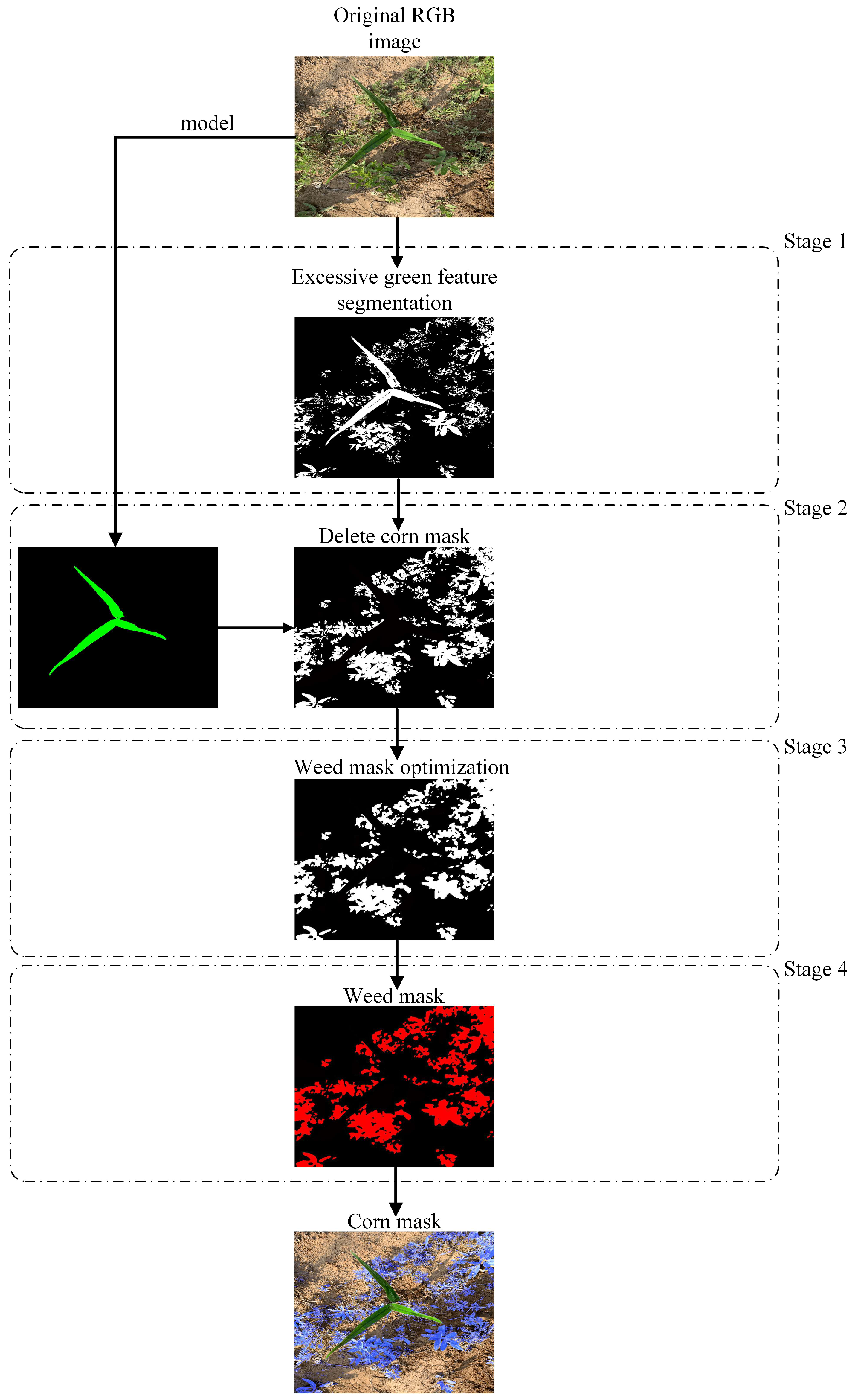 Agronomy 13 01846 g006