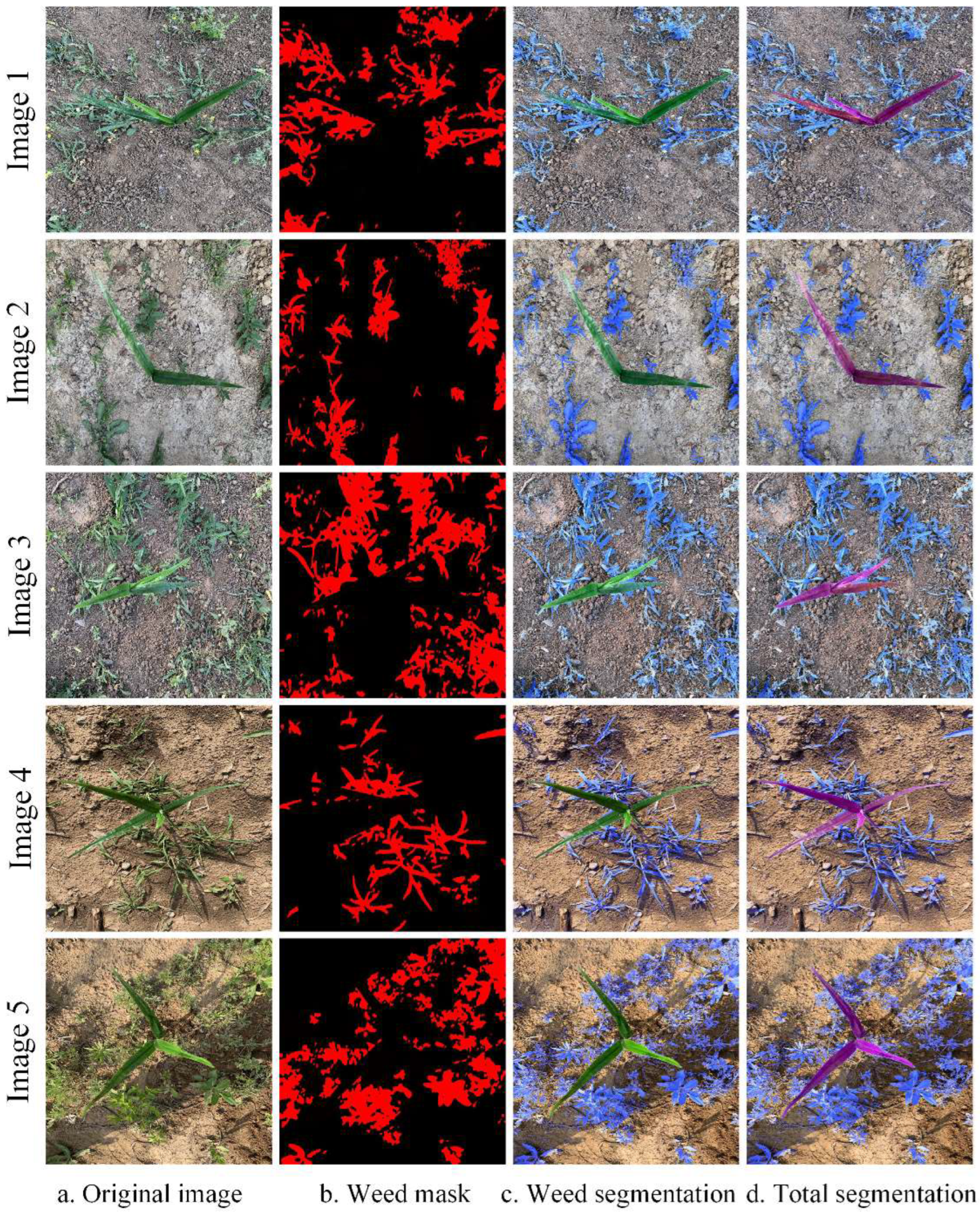 Agronomy 13 01846 g010