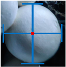 Agronomy 13 01871 i003