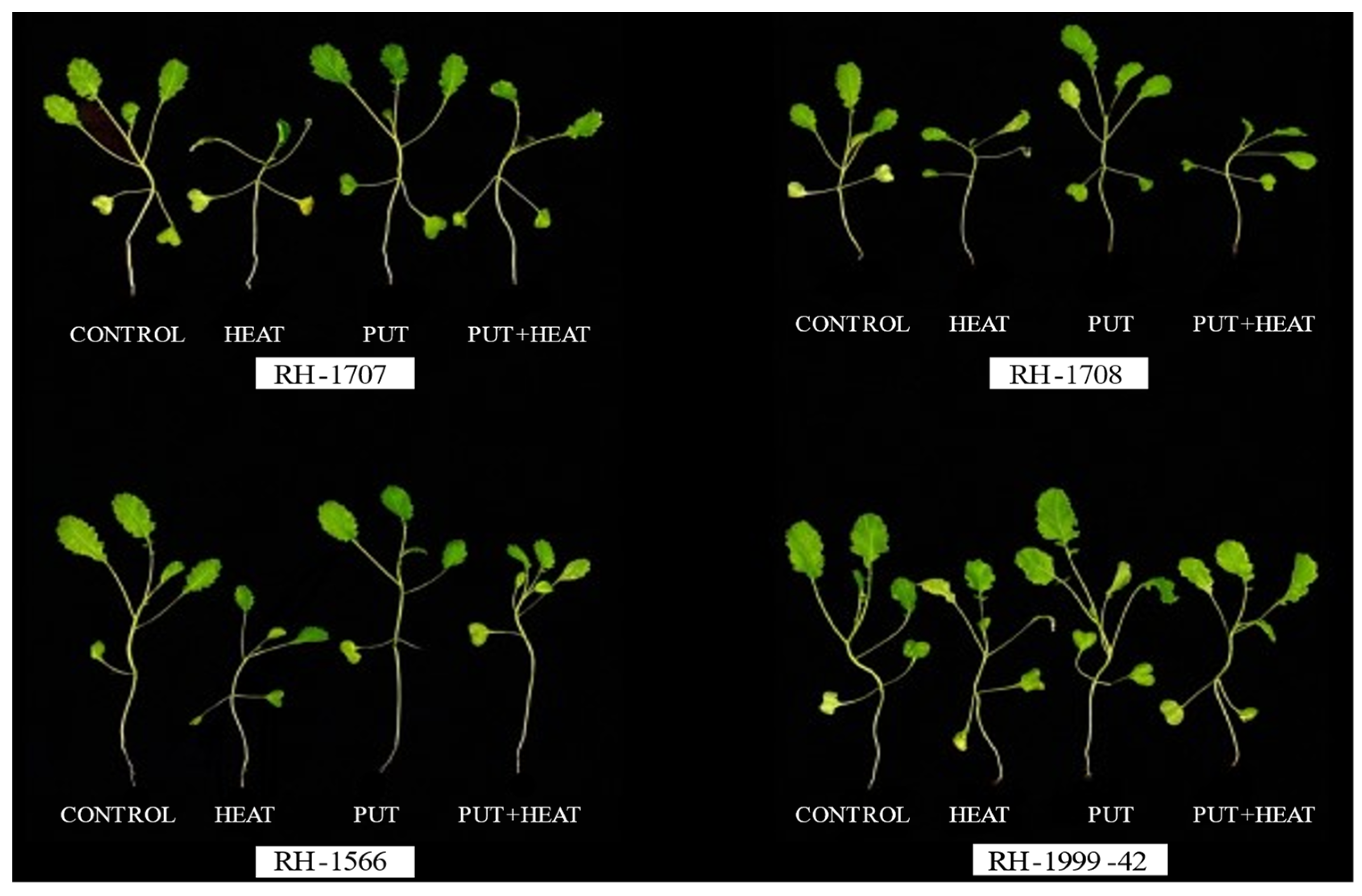 Agronomy 13 01879 g001