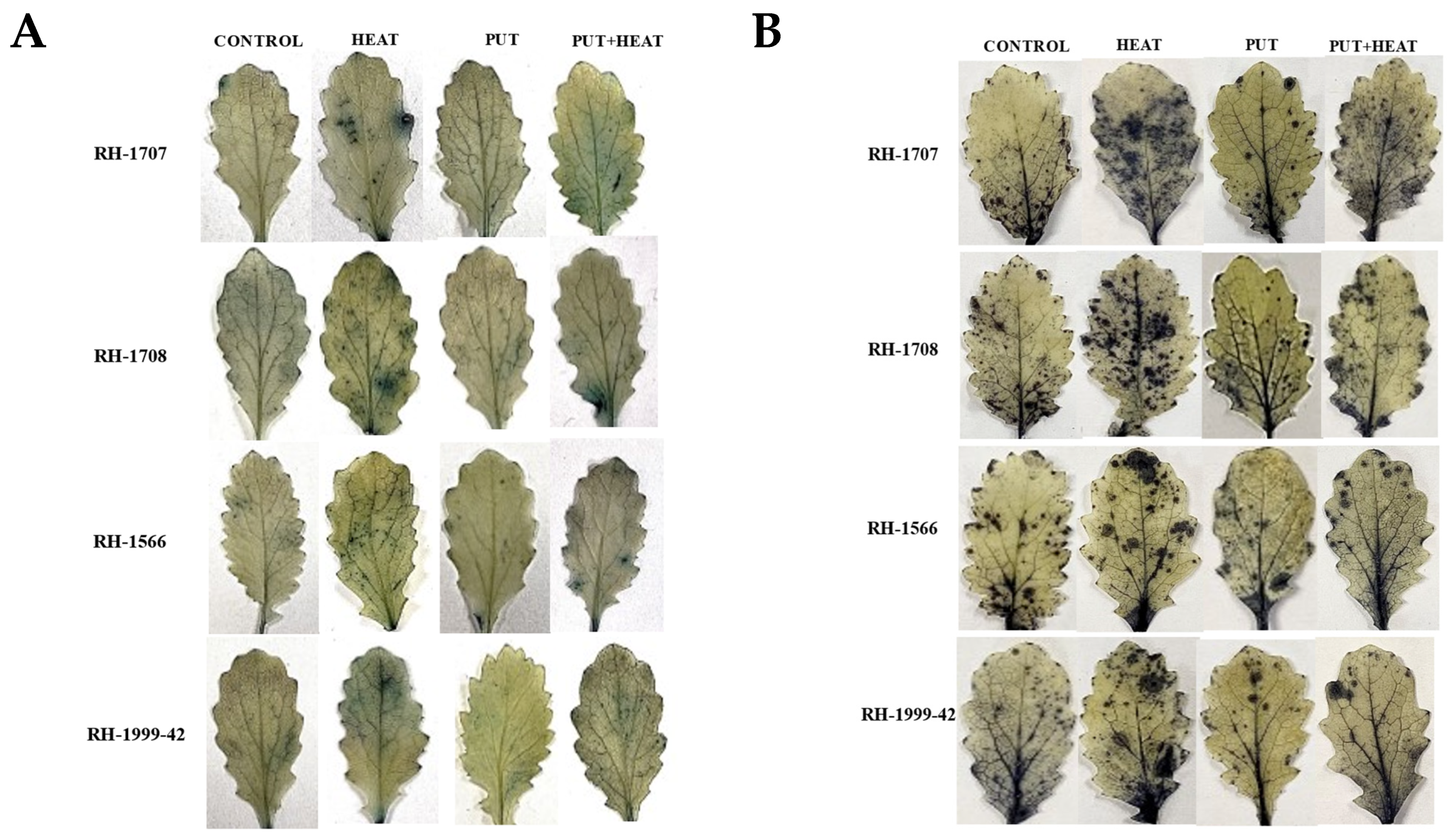 Agronomy 13 01879 g014