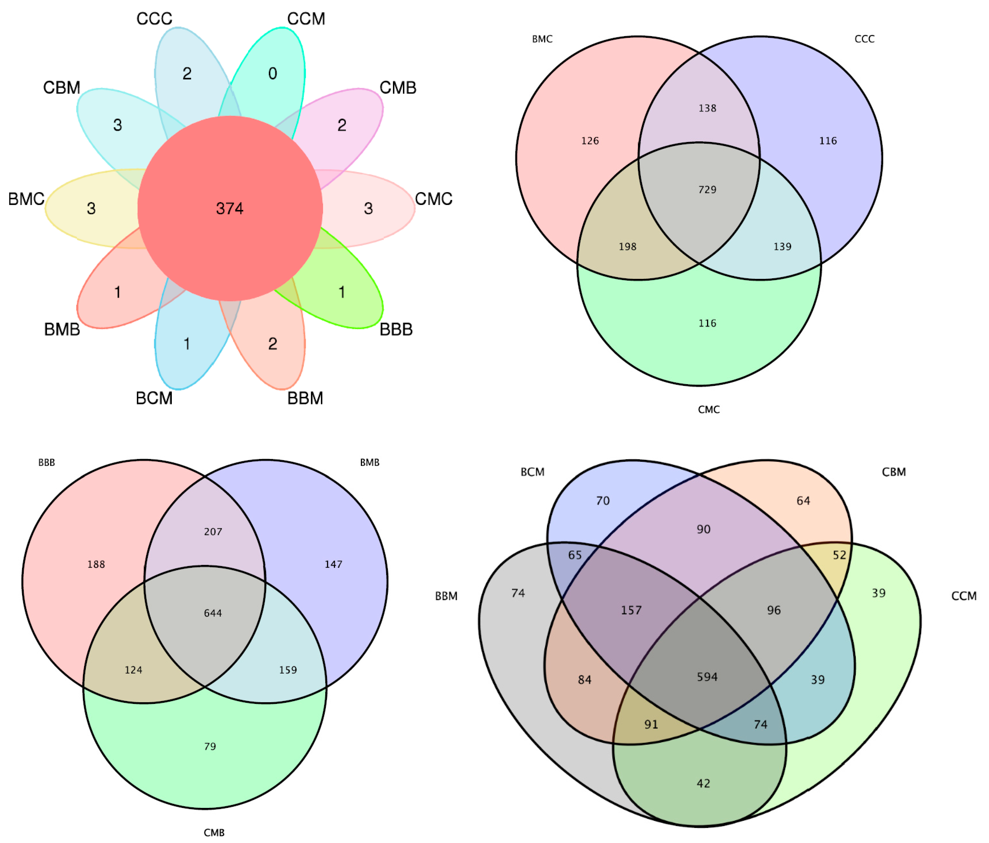 Agronomy 13 01883 g002