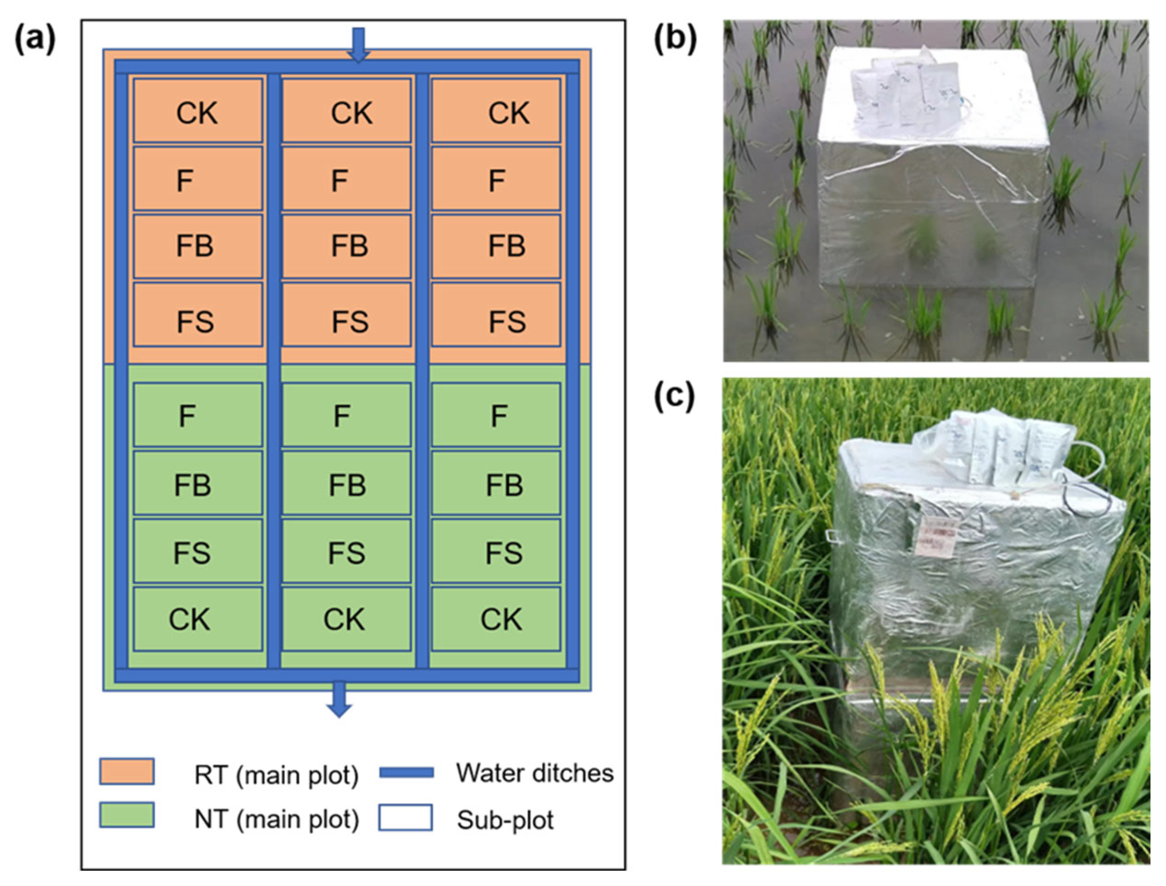 Agronomy 13 01887 g002