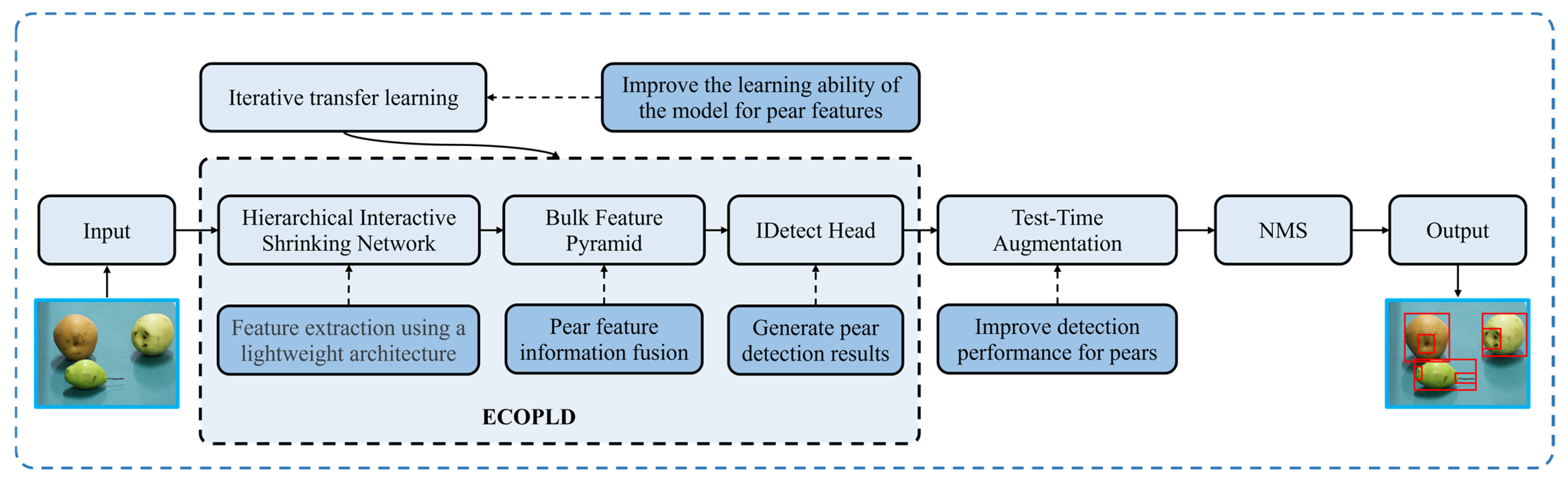 Agronomy 13 01891 g002