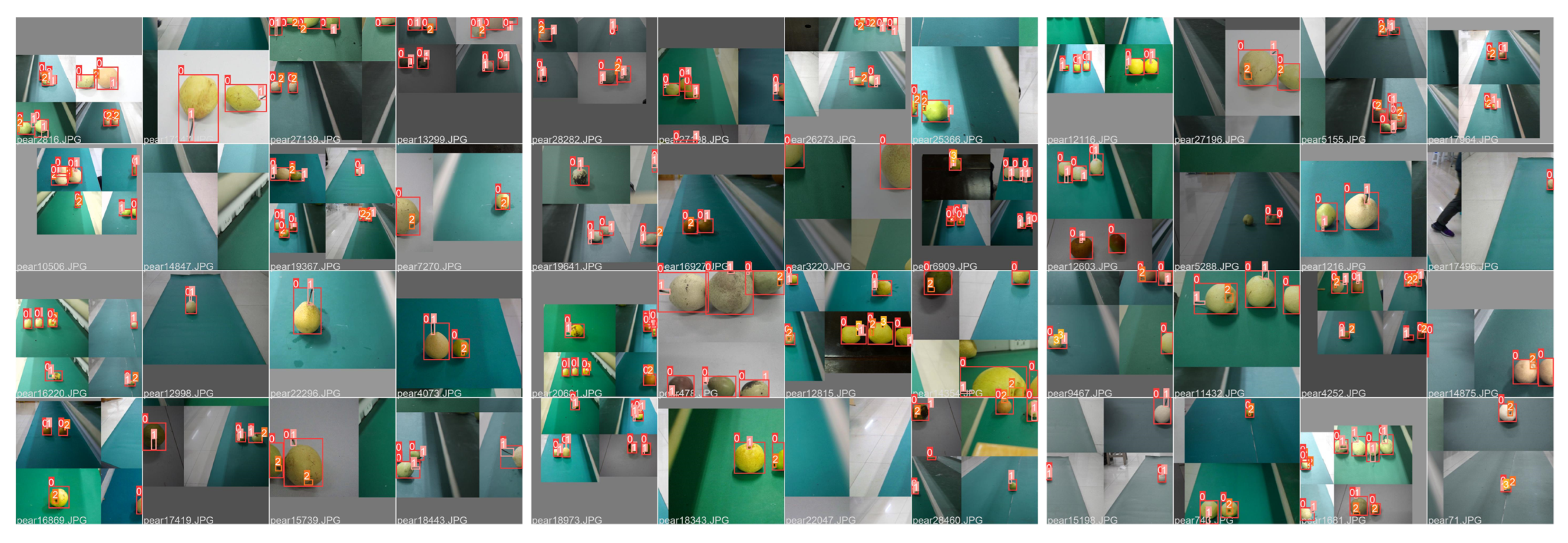 Agronomy 13 01891 g005