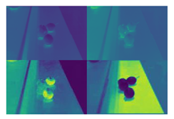 Agronomy 13 01891 i001