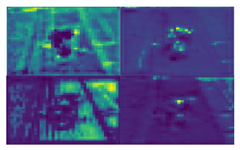 Agronomy 13 01891 i003