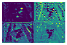 Agronomy 13 01891 i004