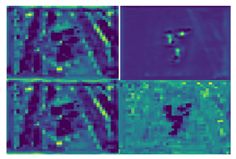 Agronomy 13 01891 i006