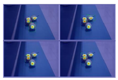 Agronomy 13 01891 i007