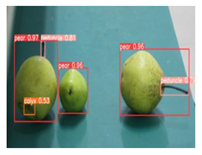 Agronomy 13 01891 i009