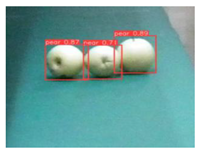 Agronomy 13 01891 i010