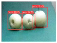 Agronomy 13 01891 i013