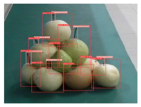 Agronomy 13 01891 i014