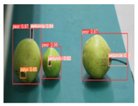 Agronomy 13 01891 i015