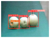 Agronomy 13 01891 i019