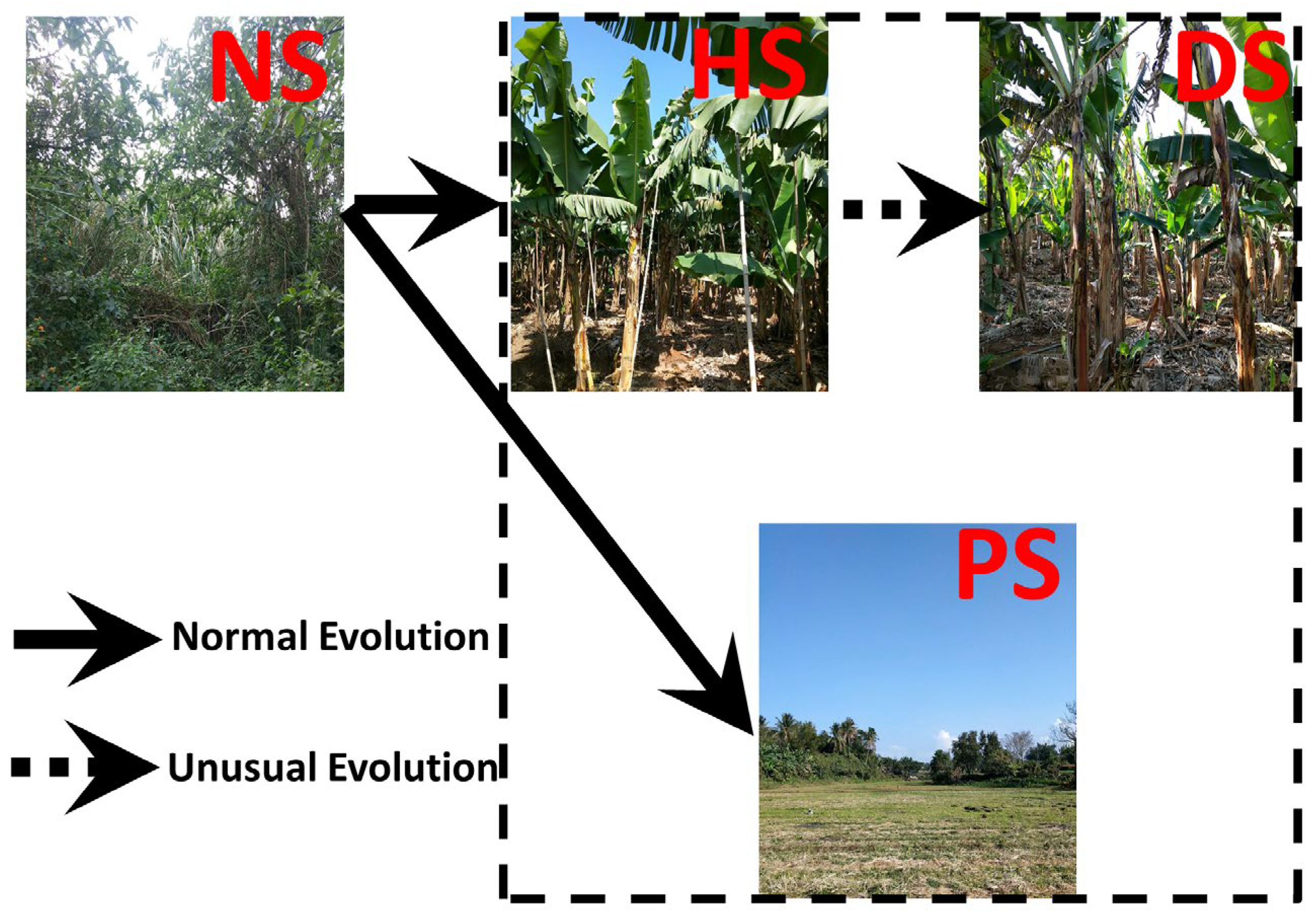 Agronomy 13 01897 g001
